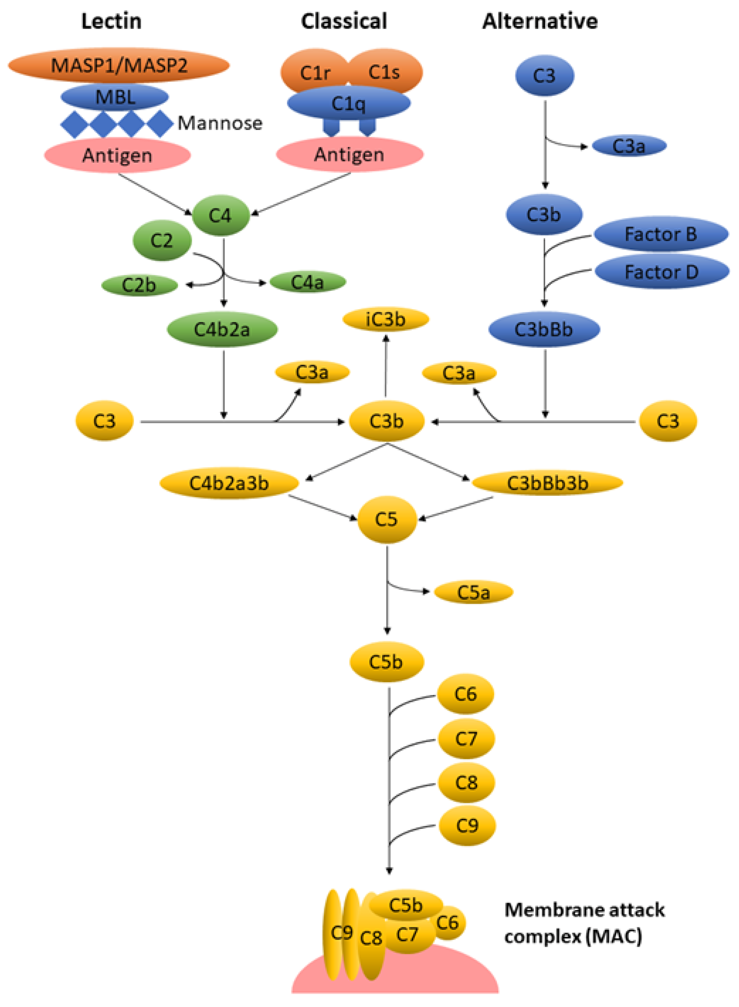 Nanomaterials 10 00787 g001 Nanomaterials 10 00787 g001