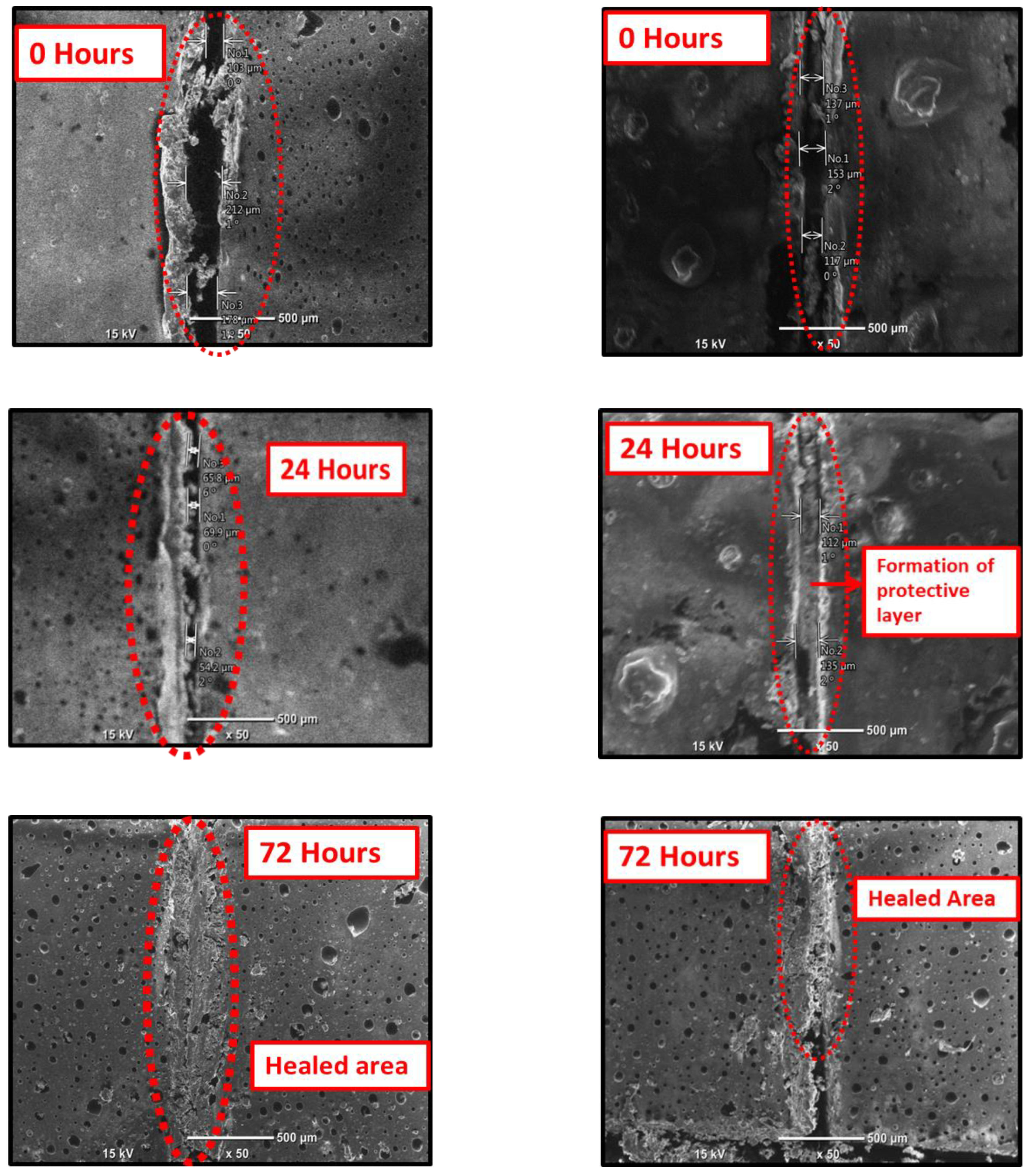 Nanomaterials 10 00791 g007b Nanomaterials 10 00791 g007b