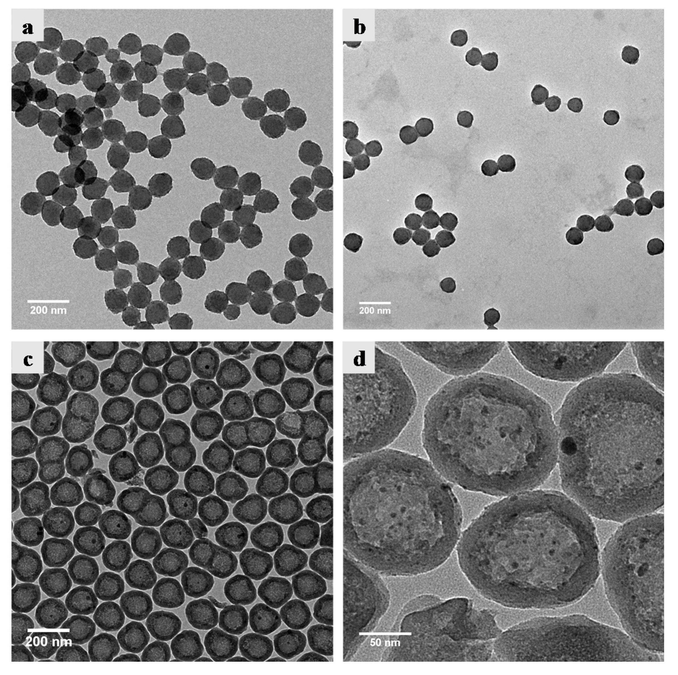 Nanomaterials 10 00799 g002 Nanomaterials 10 00799 g002