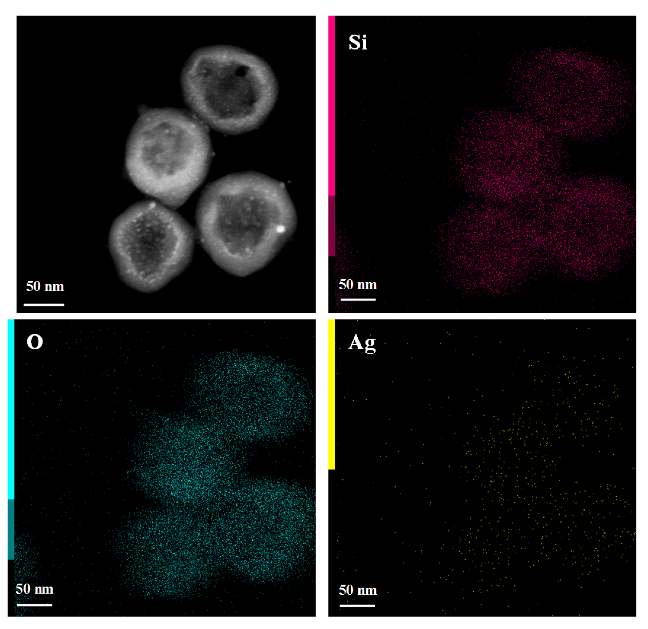 Nanomaterials 10 00799 g003 Nanomaterials 10 00799 g003