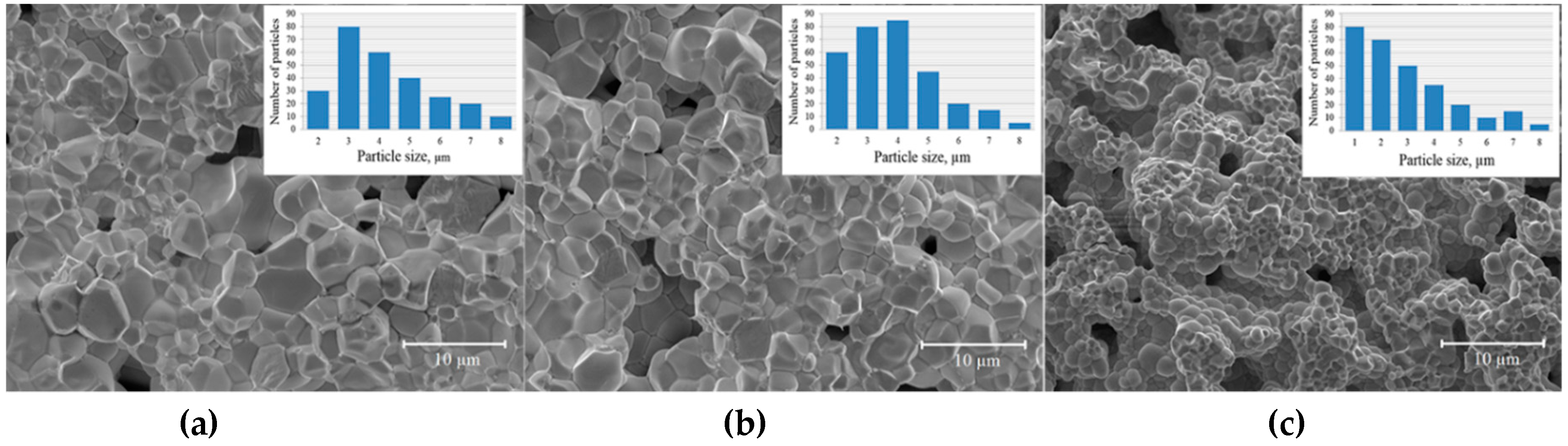 Nanomaterials 10 00801 g003