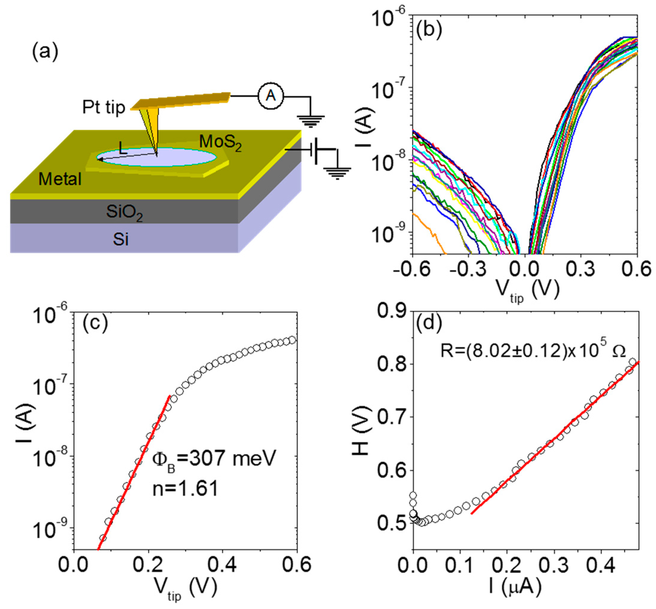 Nanomaterials 10 00803 g002