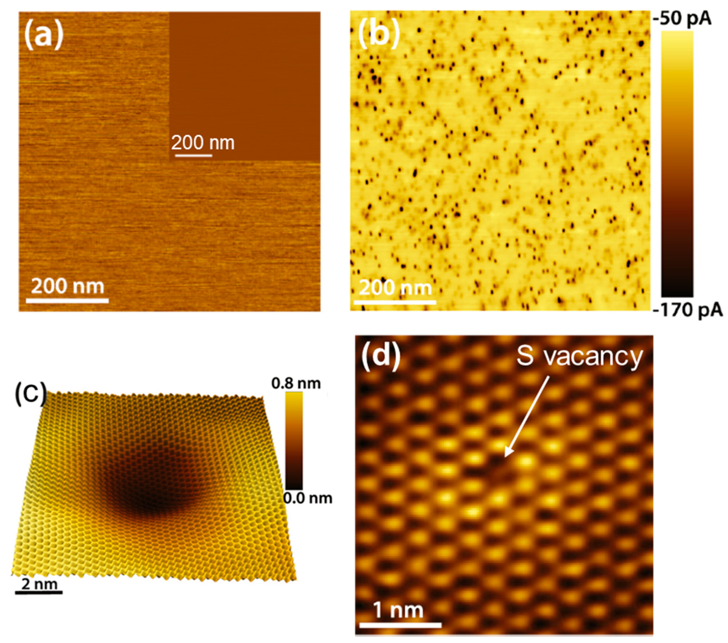 Nanomaterials 10 00803 g004