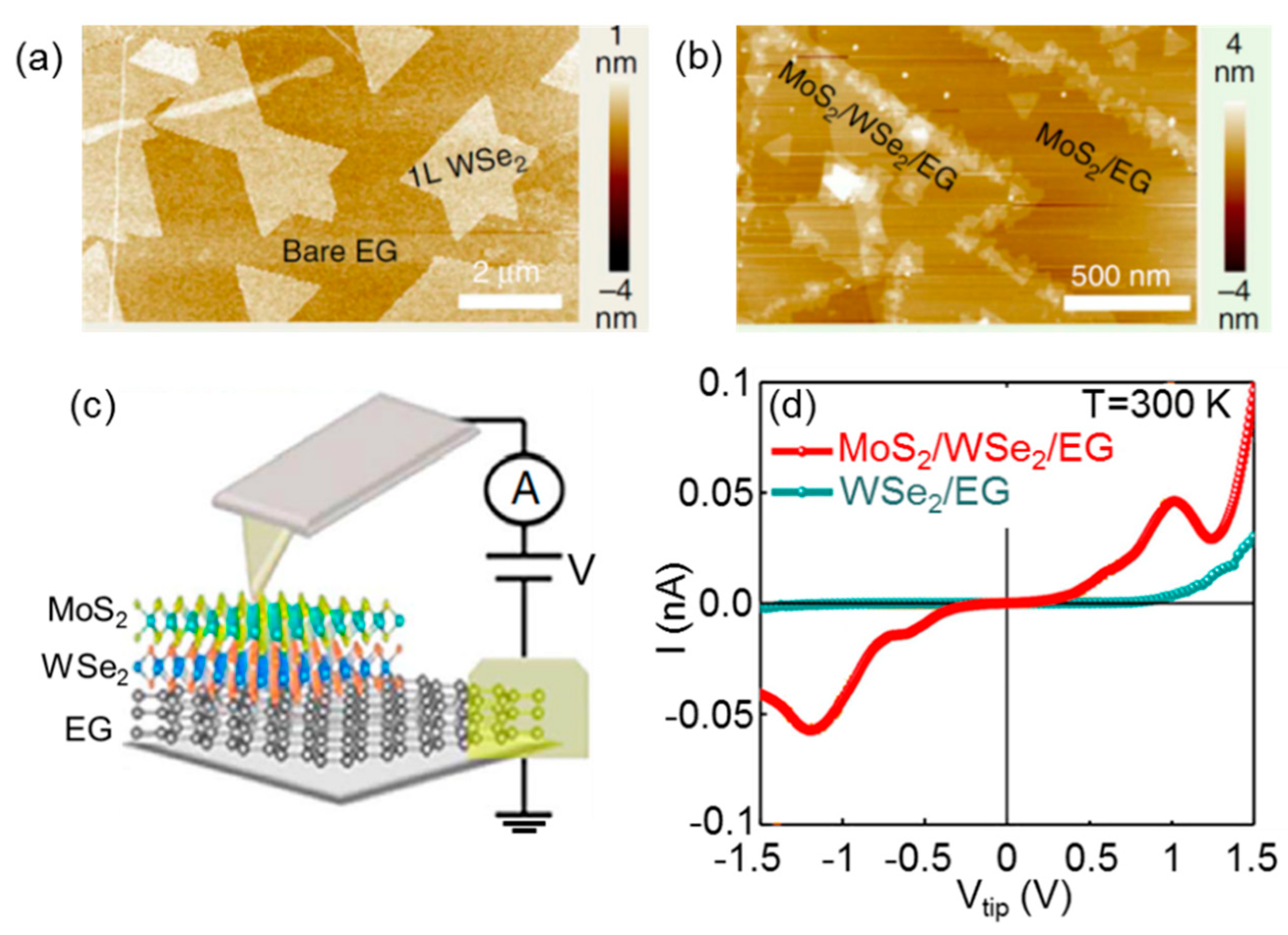 Nanomaterials 10 00803 g010
