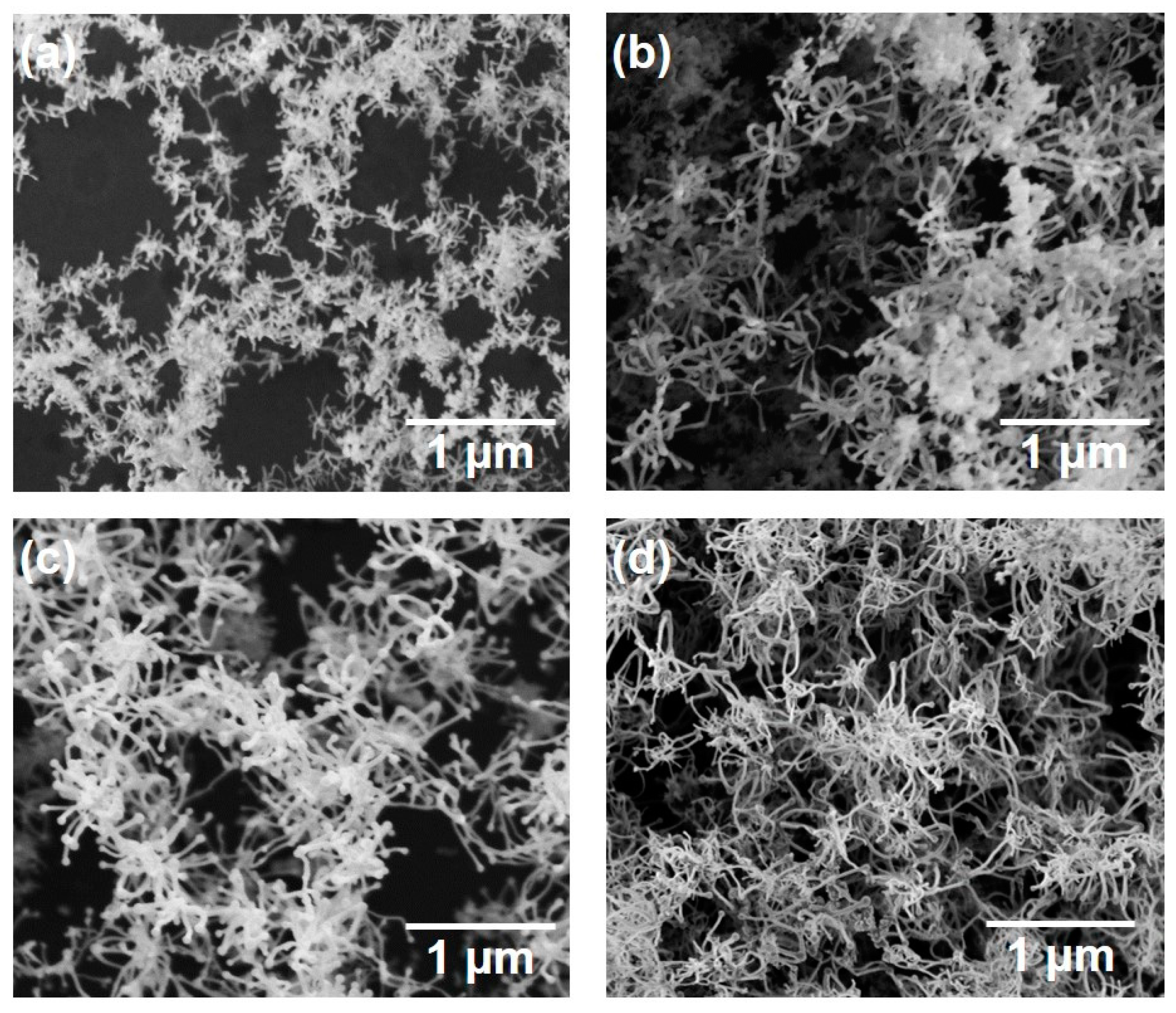 Nanomaterials 10 00812 g006 Nanomaterials 10 00812 g006