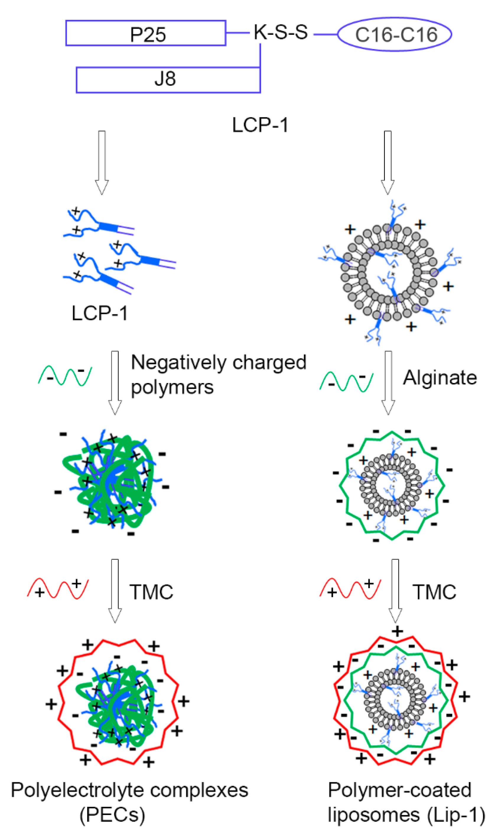 Nanomaterials 10 00823 g001