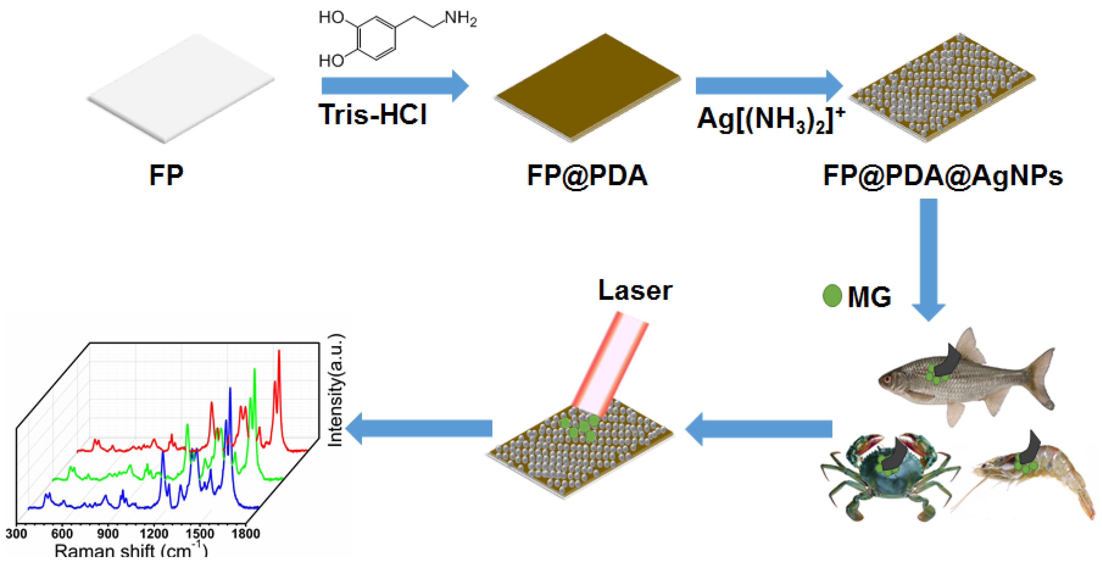 Nanomaterials 10 00826 g001