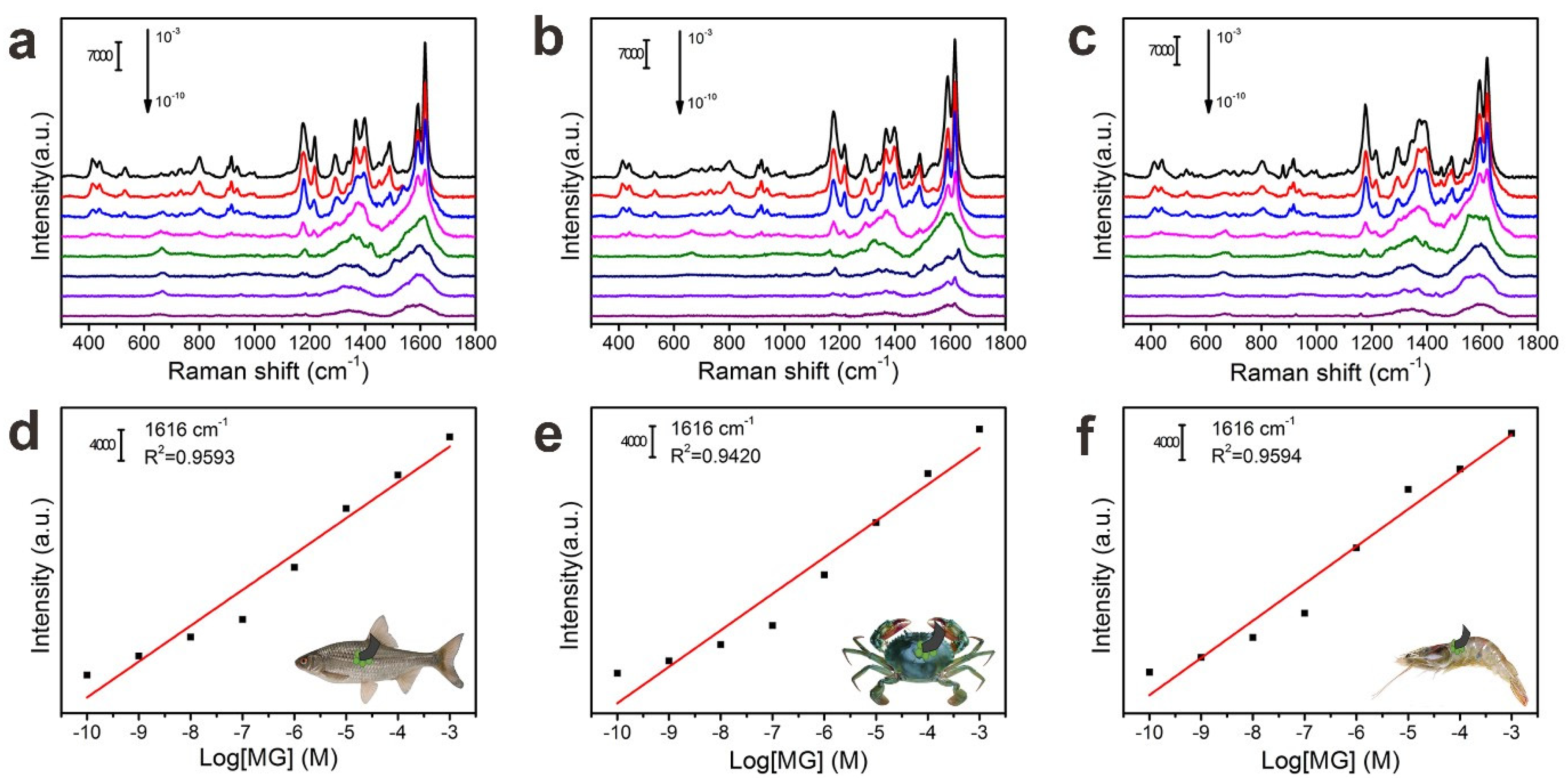 Nanomaterials 10 00826 g007