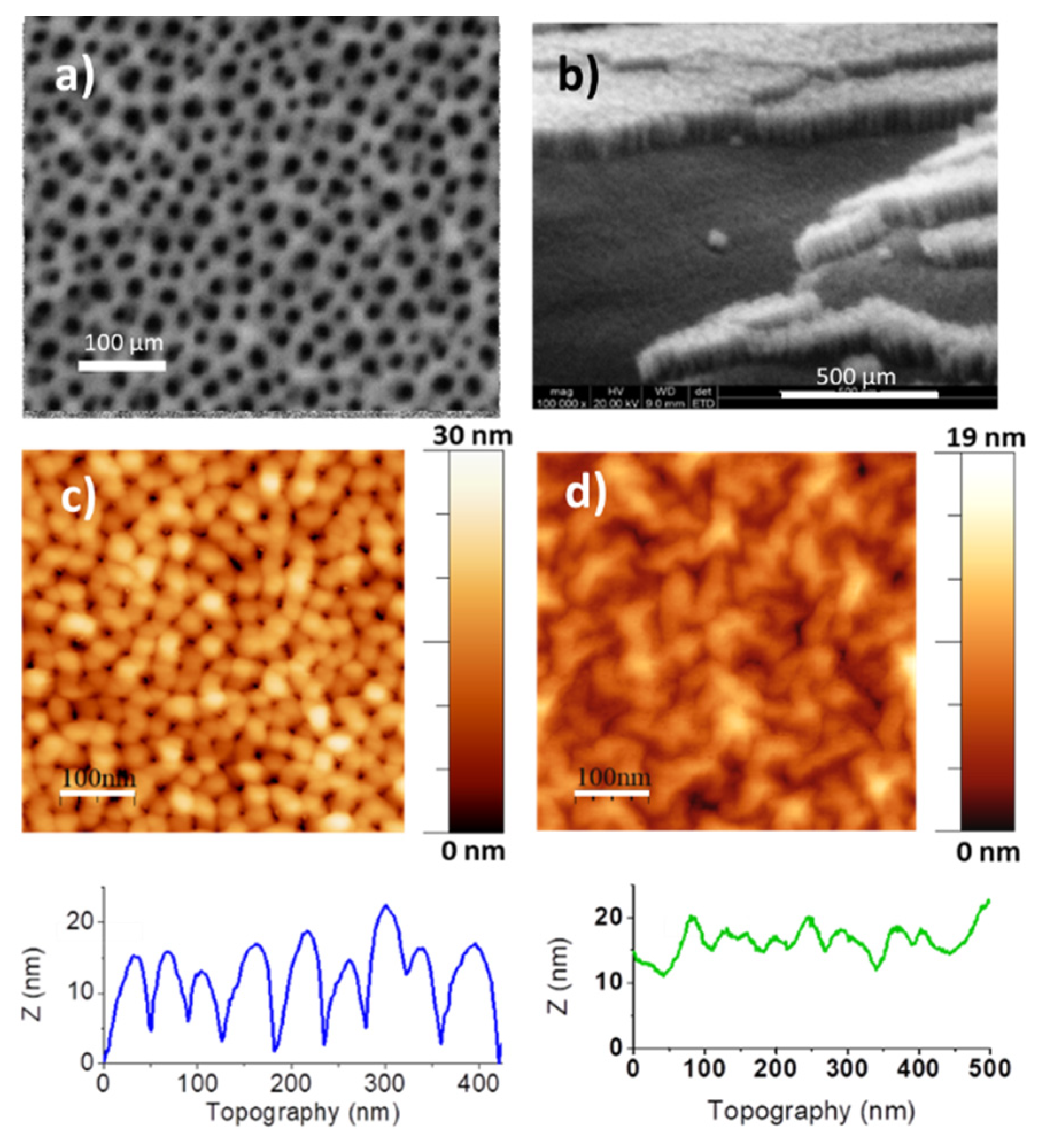 Nanomaterials 10 00830 g002