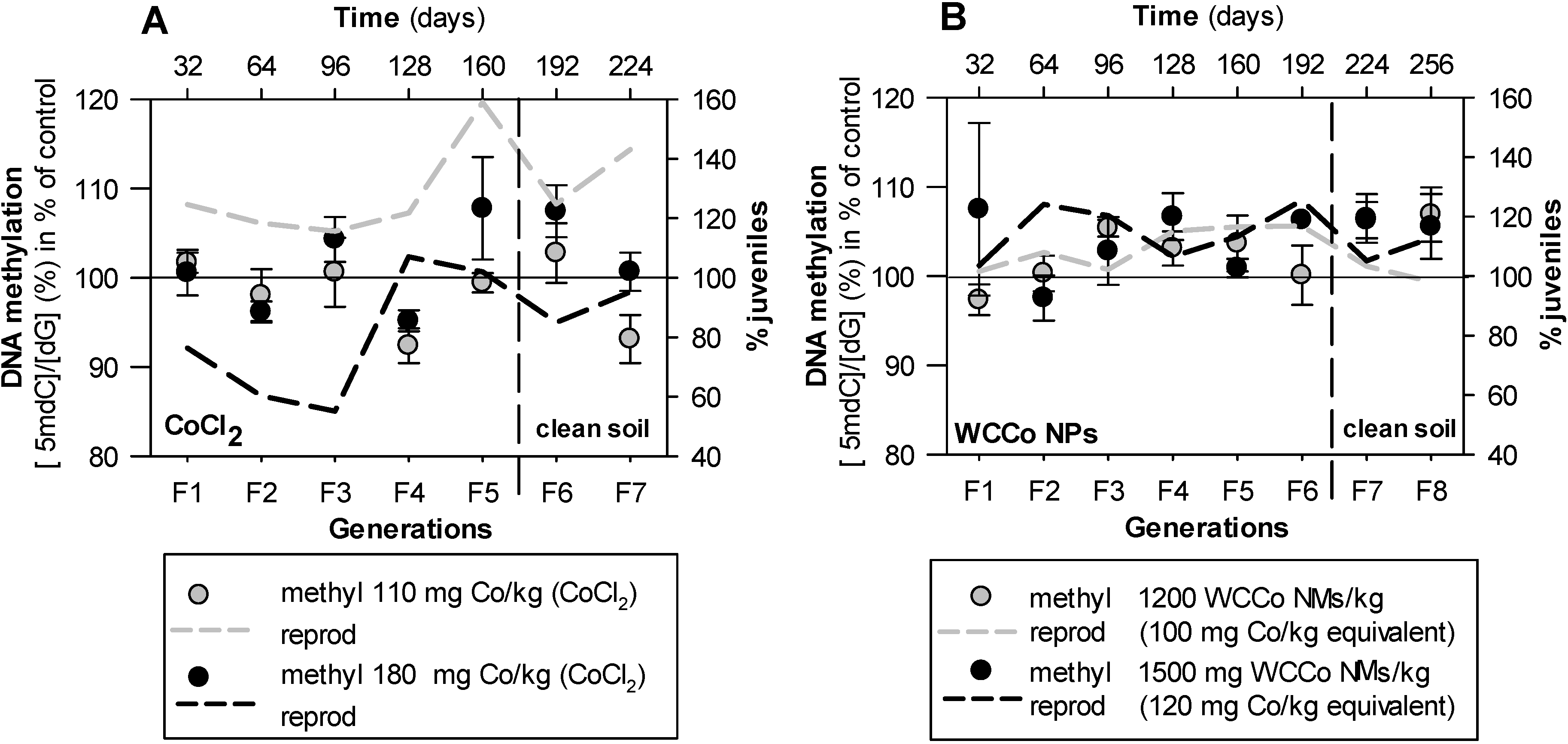 Nanomaterials 10 00836 g001