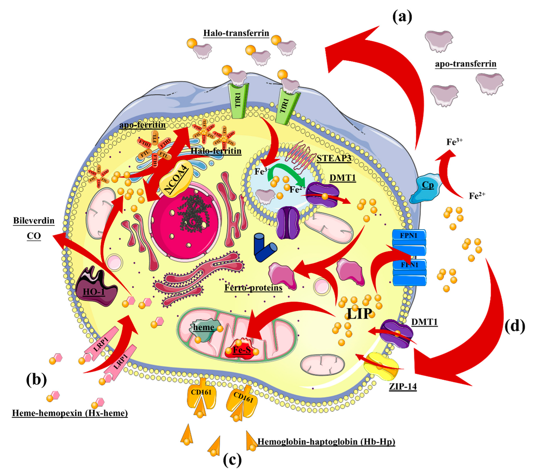 Nanomaterials 10 00837 g002 Nanomaterials 10 00837 g002