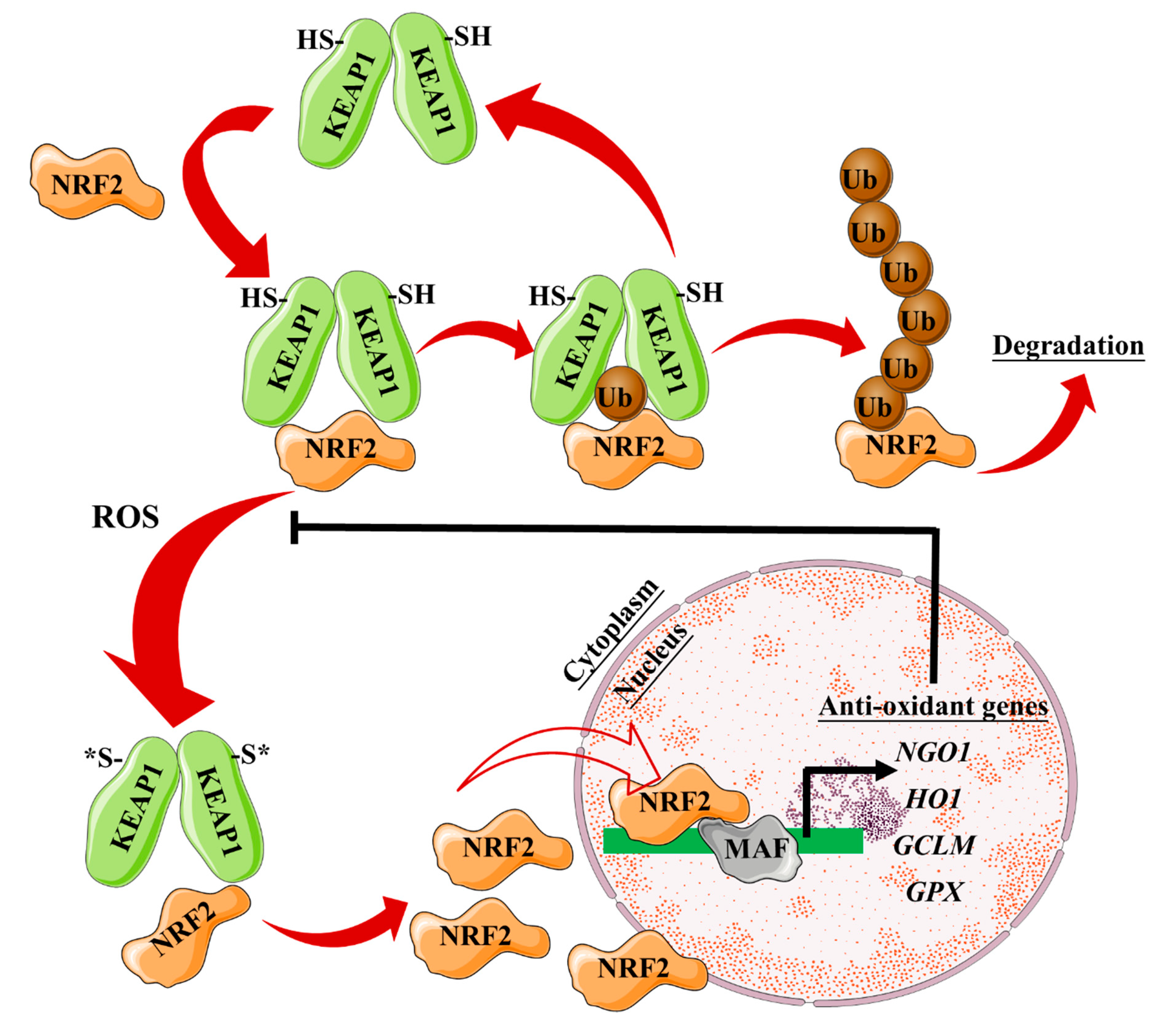 Nanomaterials 10 00837 g004 Nanomaterials 10 00837 g004