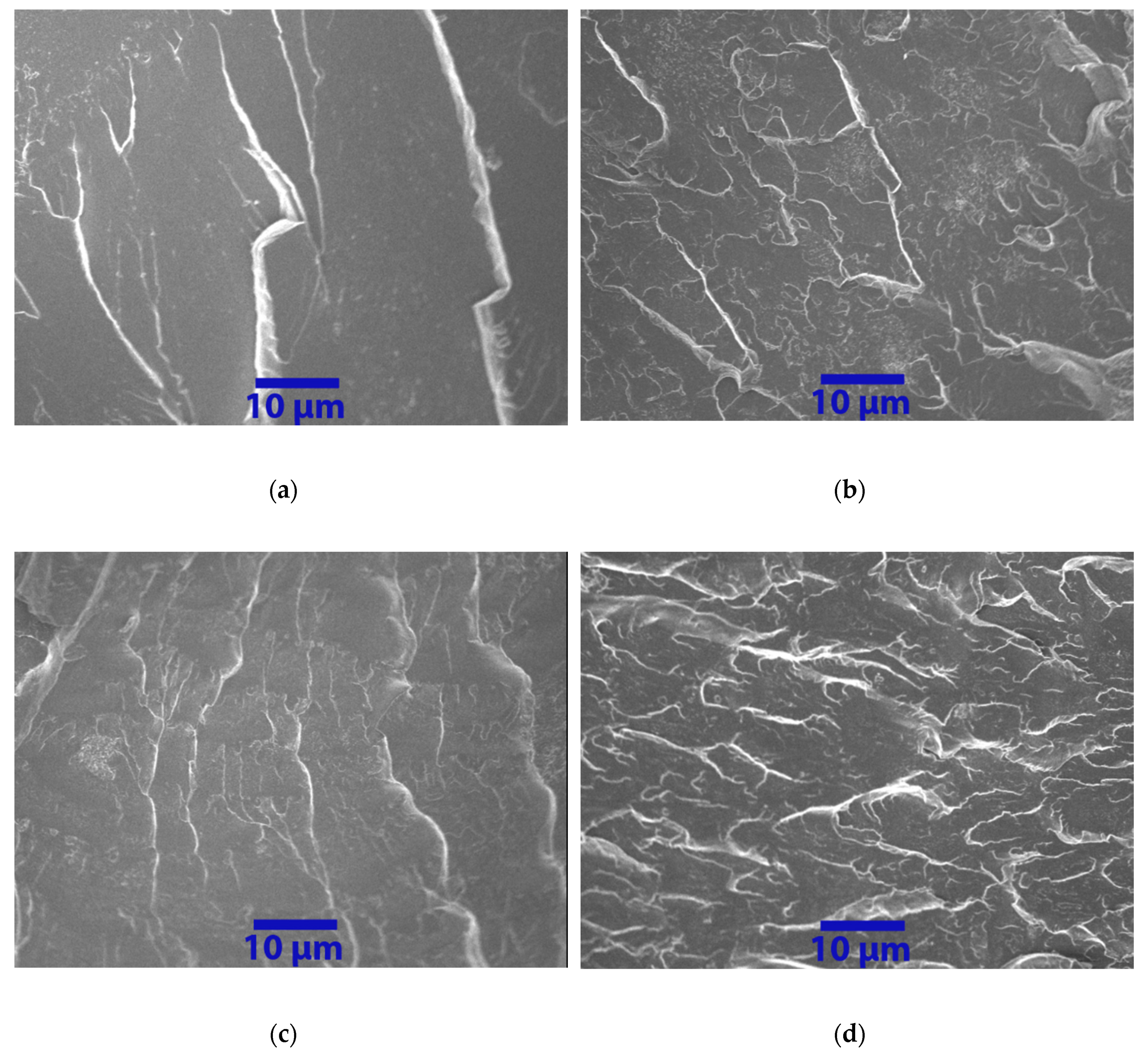 Nanomaterials 10 00838 g013