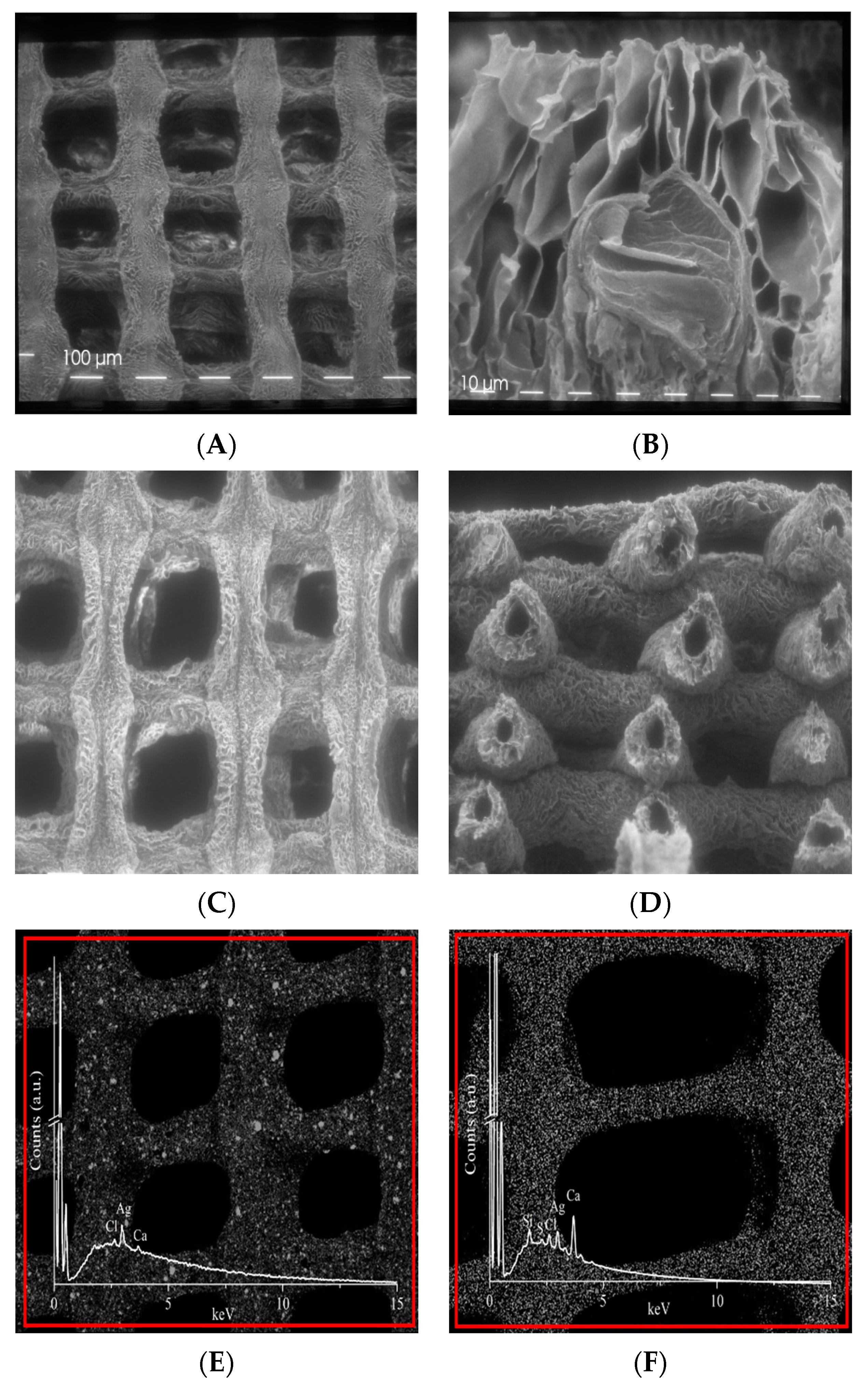 Nanomaterials 10 00844 g003 Nanomaterials 10 00844 g003