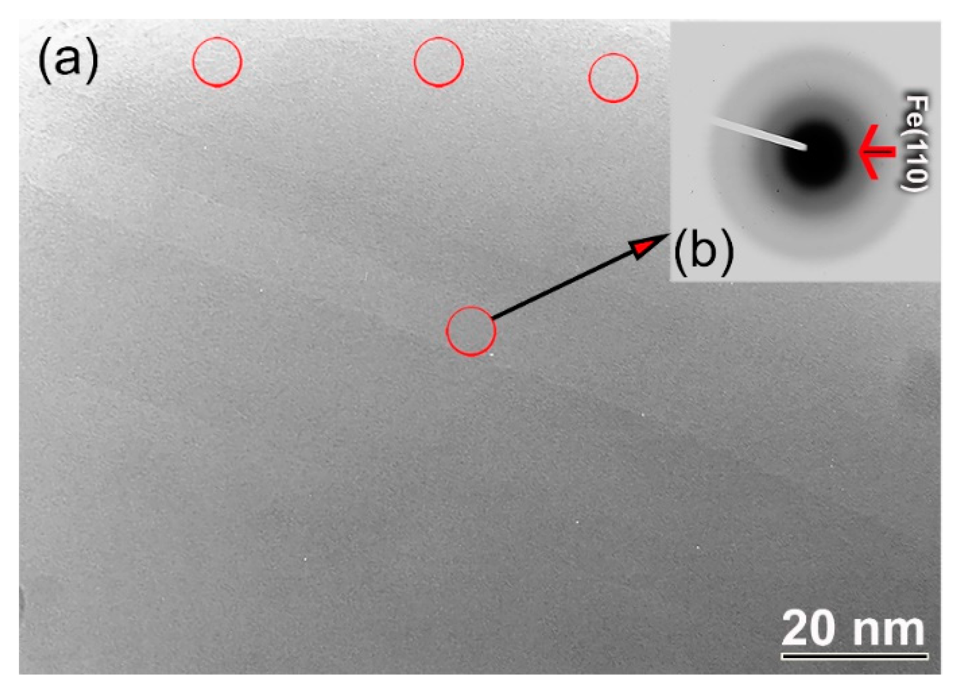 Nanomaterials 10 00849 g002