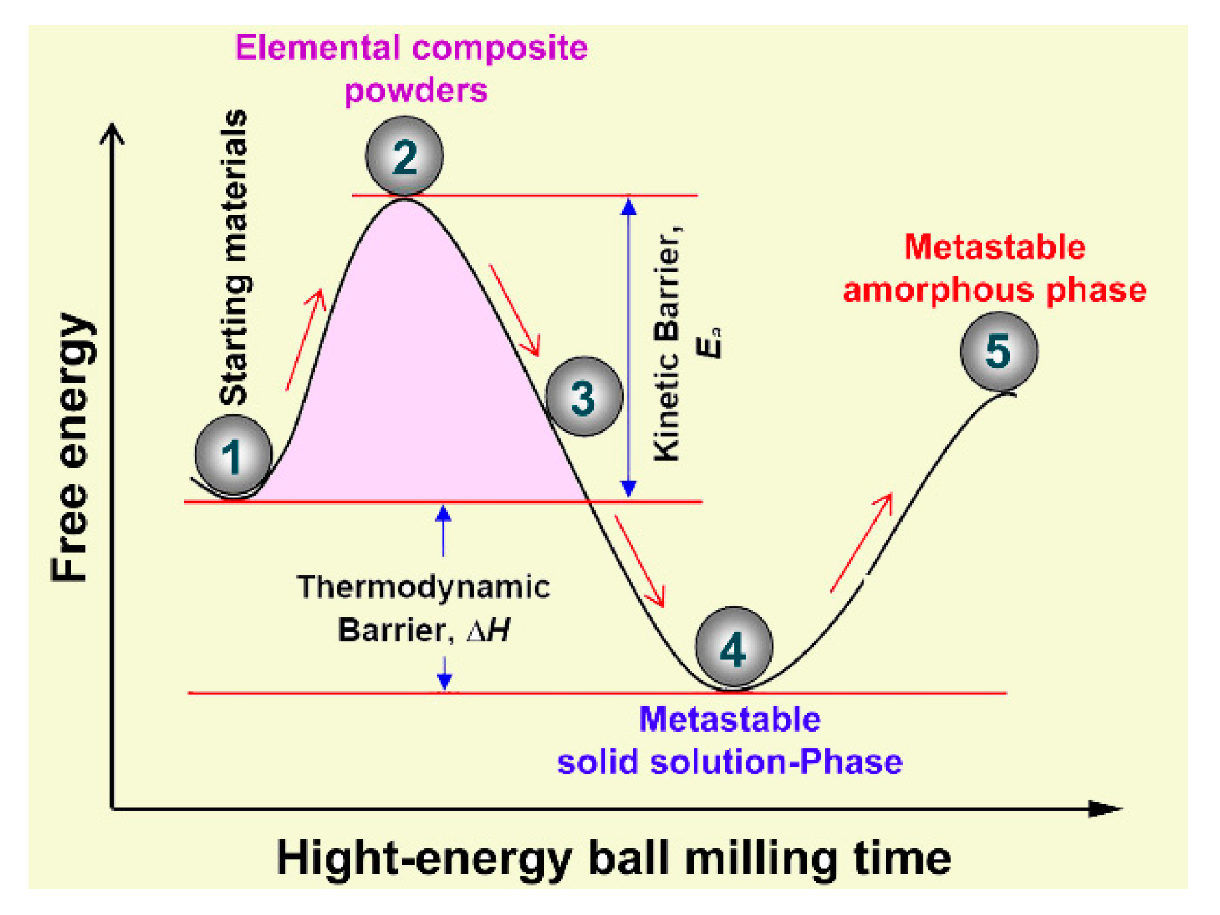 Nanomaterials 10 00849 g005