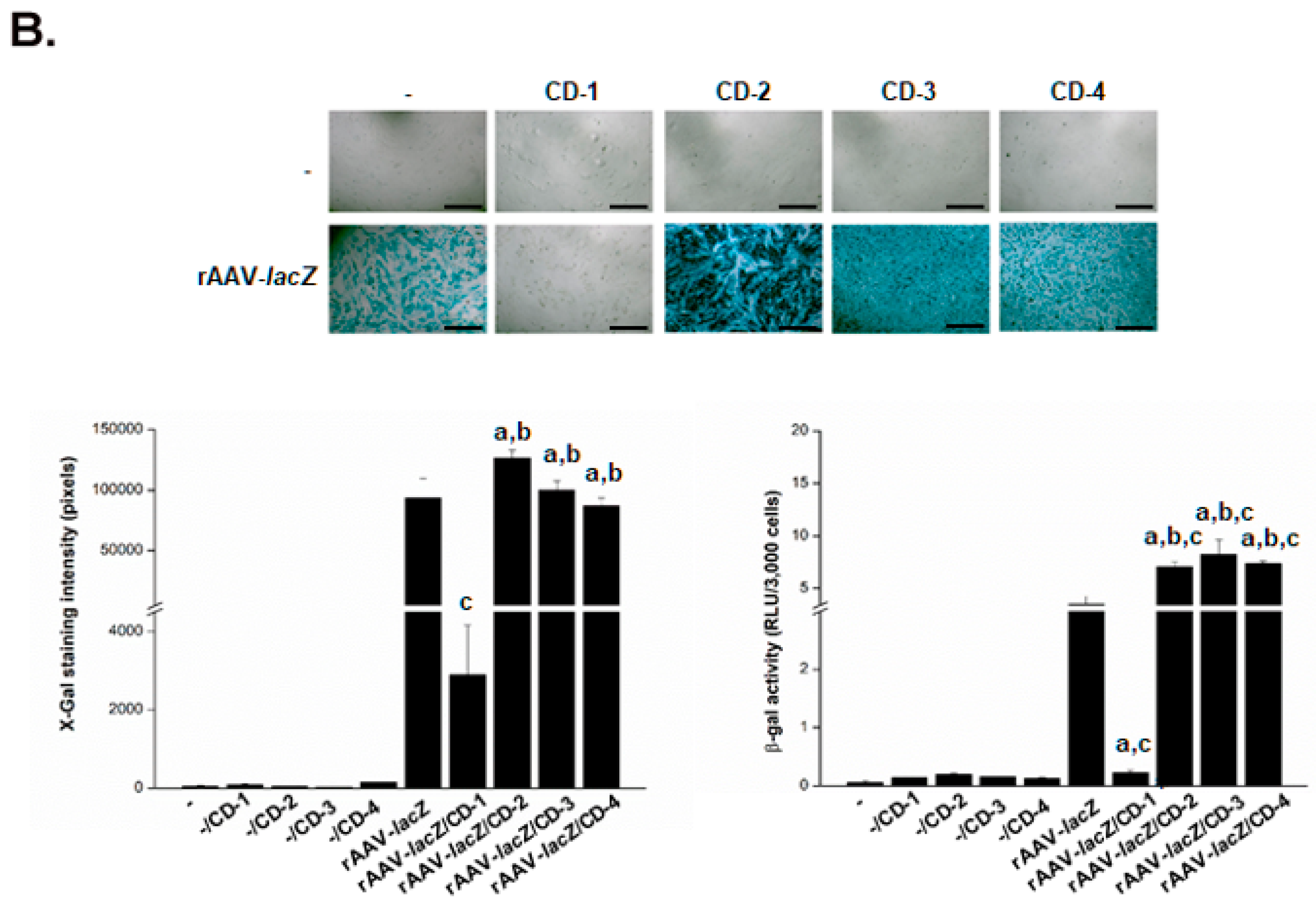 Nanomaterials 10 00855 g003b