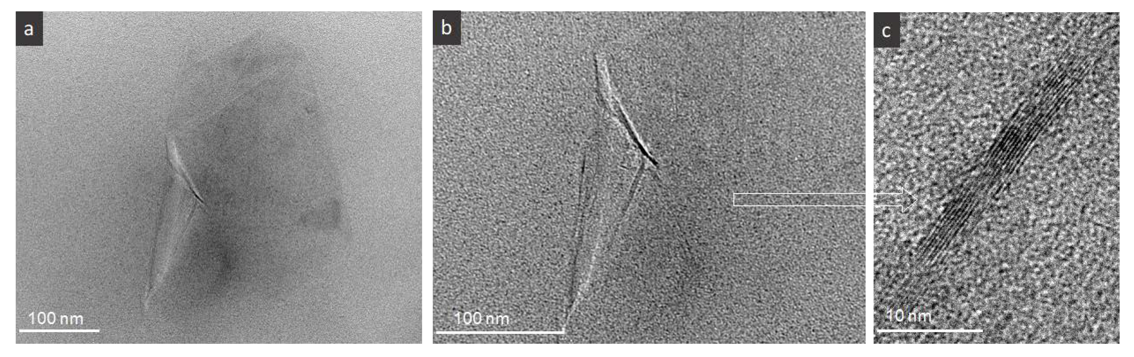 Nanomaterials 10 00858 g003