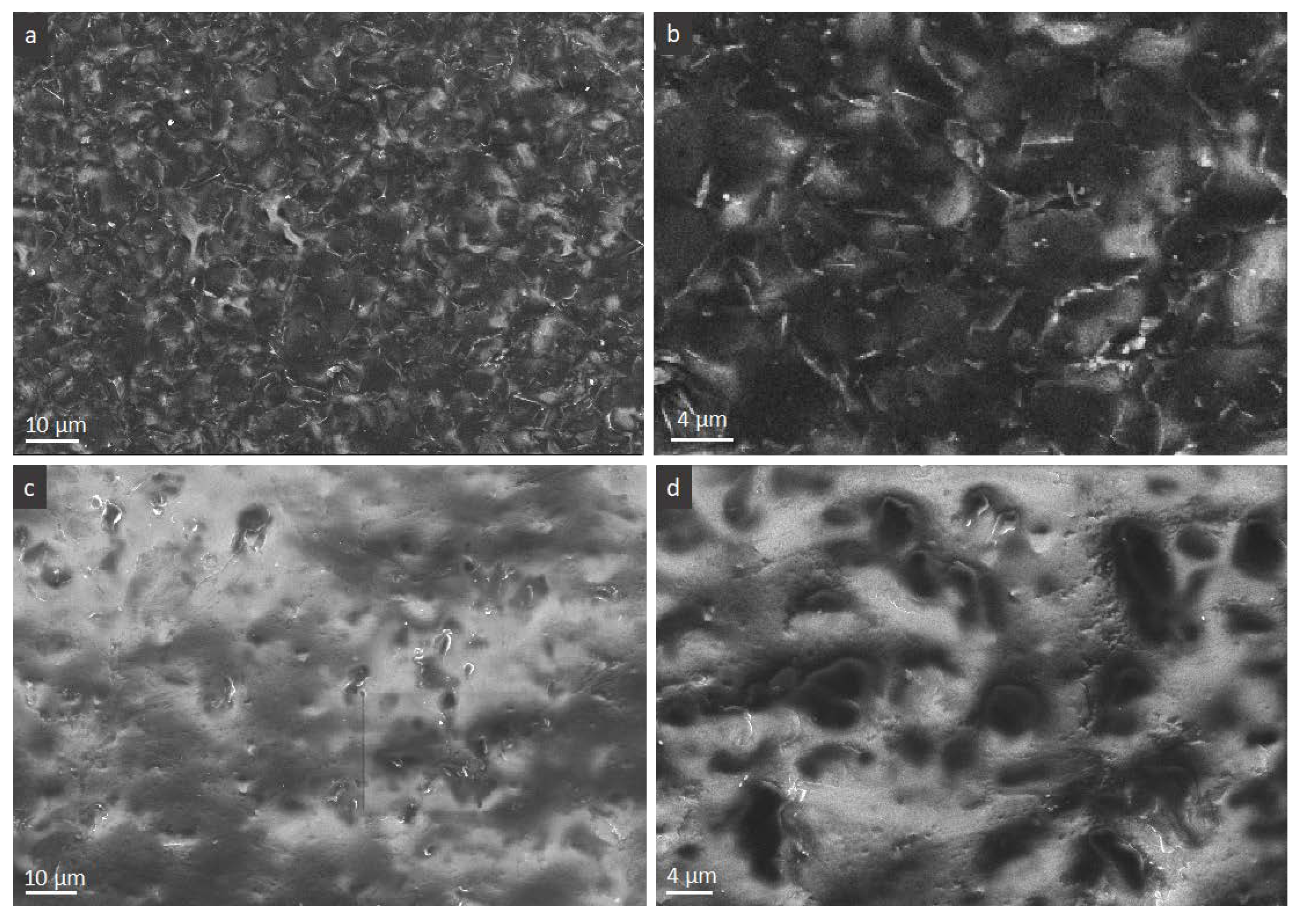 Nanomaterials 10 00858 g007