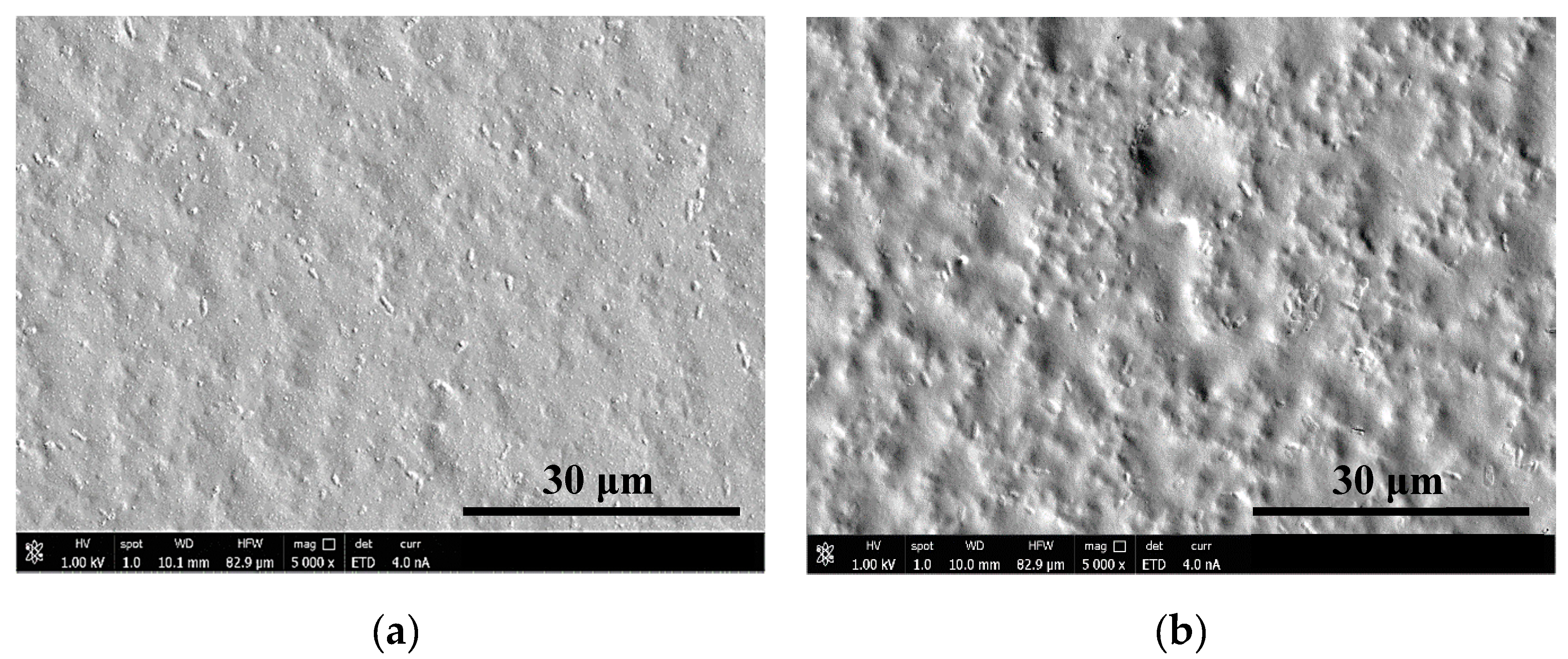 Nanomaterials 10 00859 g001 Nanomaterials 10 00859 g001