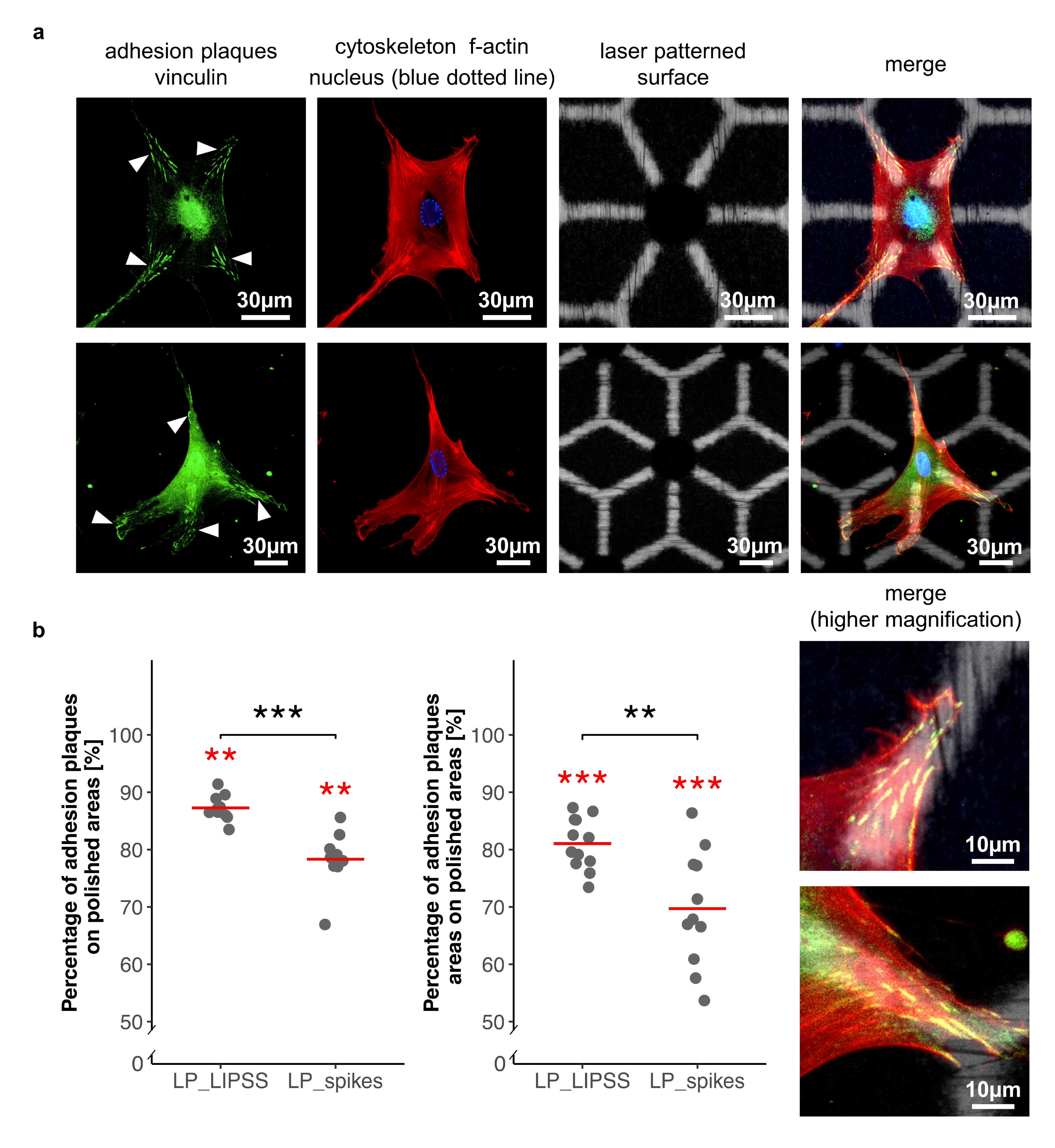 Nanomaterials 10 00864 g006 Nanomaterials 10 00864 g006