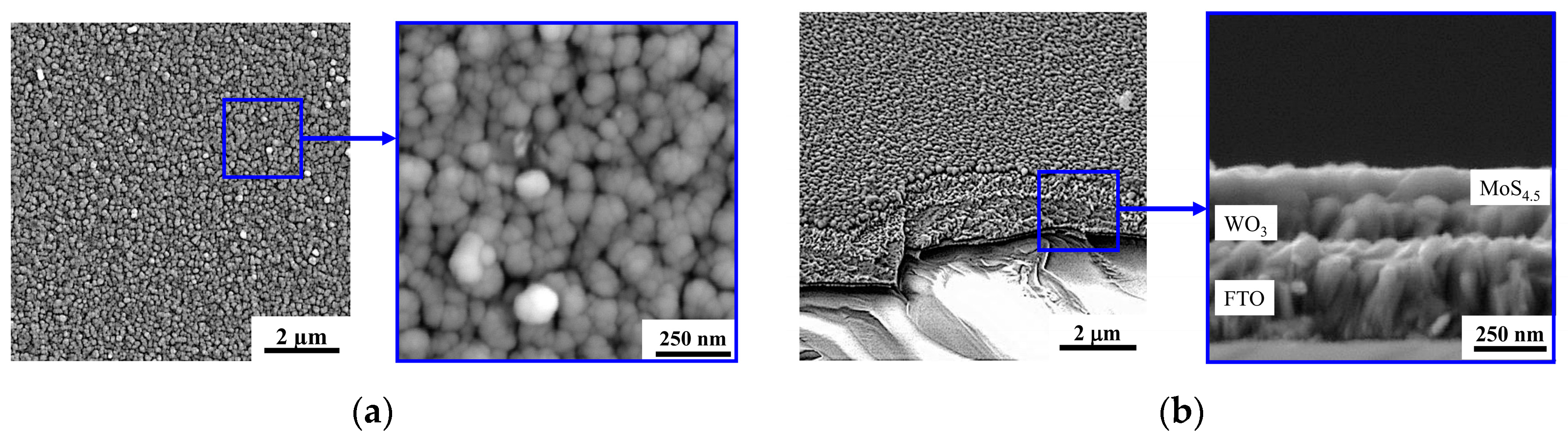 Nanomaterials 10 00871 g011 Nanomaterials 10 00871 g011