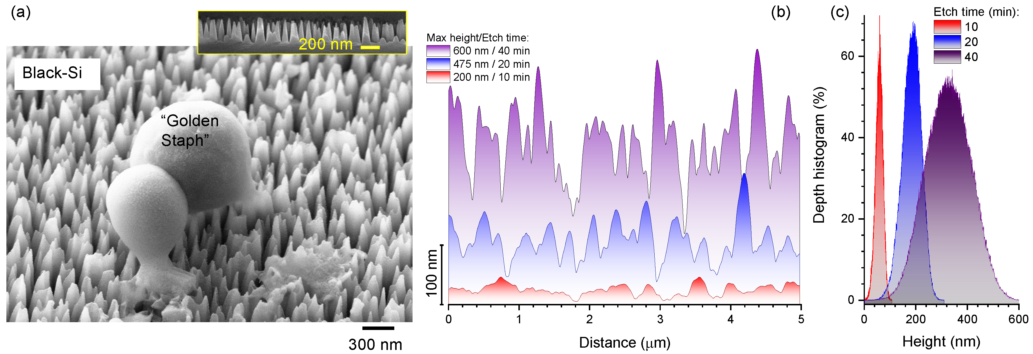 Nanomaterials 10 00873 g001 Nanomaterials 10 00873 g001