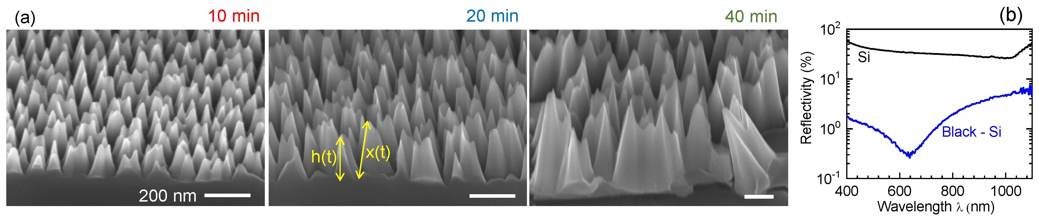 Nanomaterials 10 00873 g0a1 Nanomaterials 10 00873 g0a1