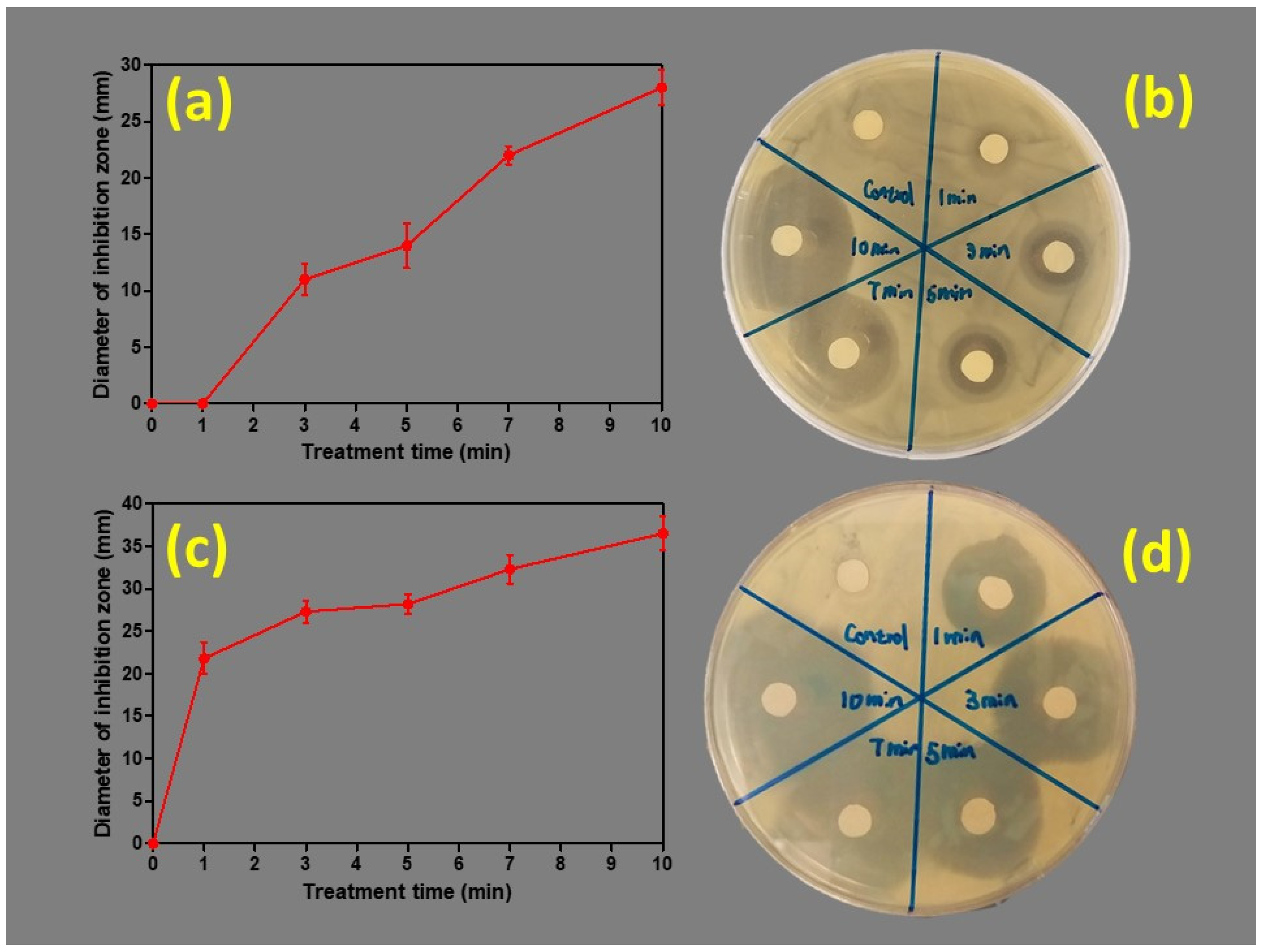Nanomaterials 10 00874 g004