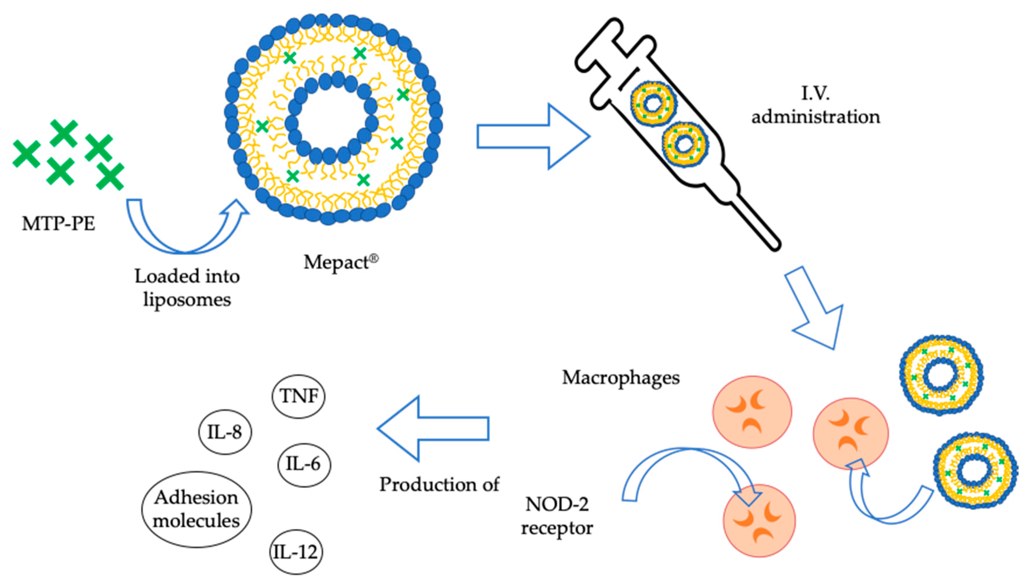 Nanomaterials 10 00875 g002 Nanomaterials 10 00875 g002