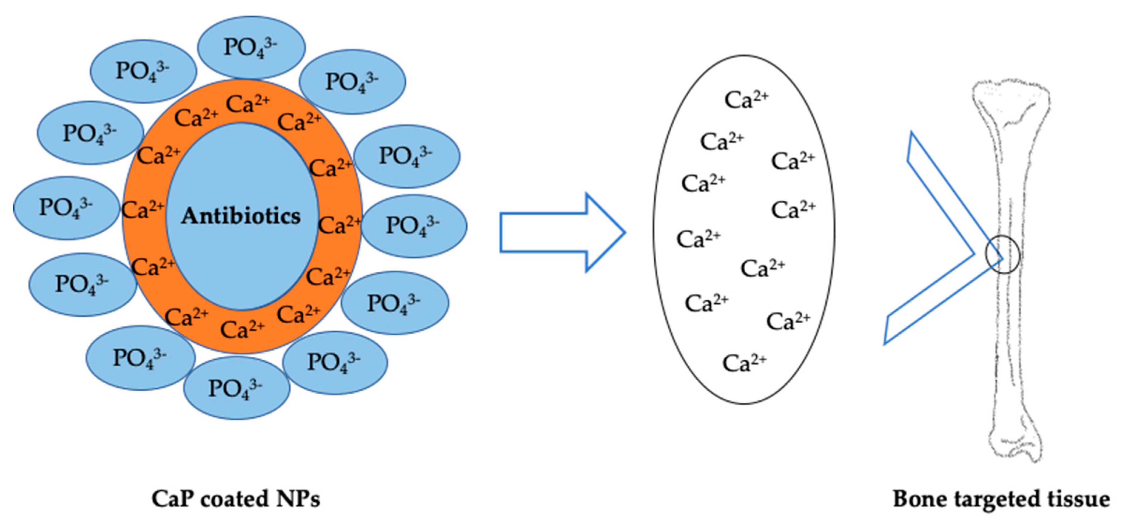 Nanomaterials 10 00875 g004 Nanomaterials 10 00875 g004