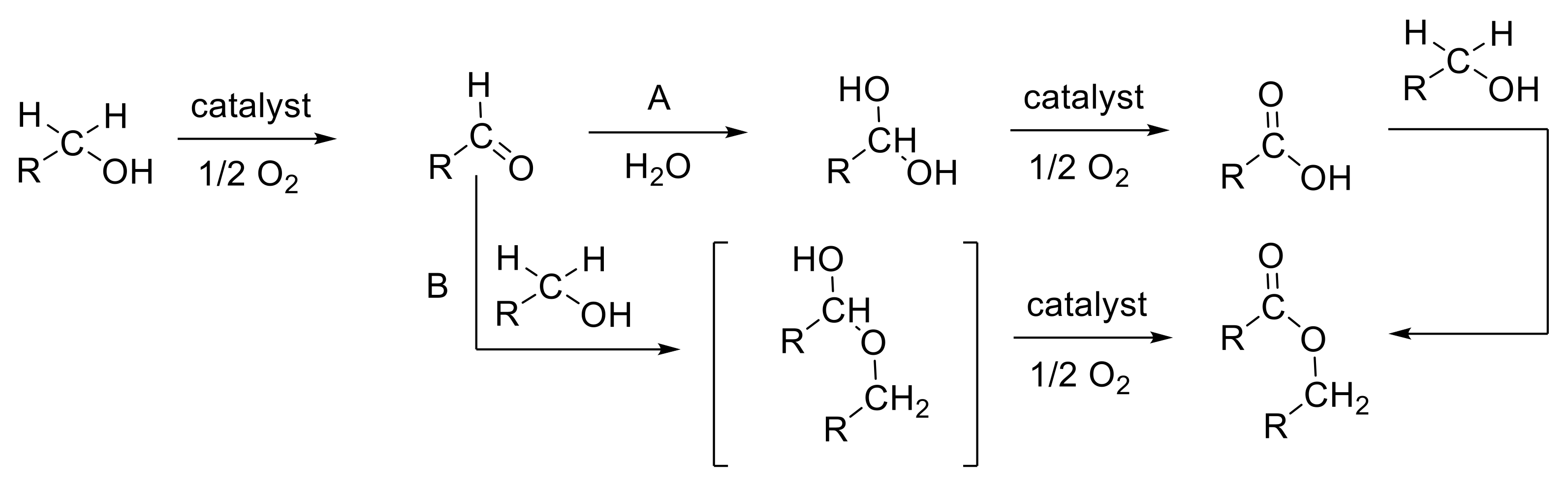 Nanomaterials 10 00880 sch001