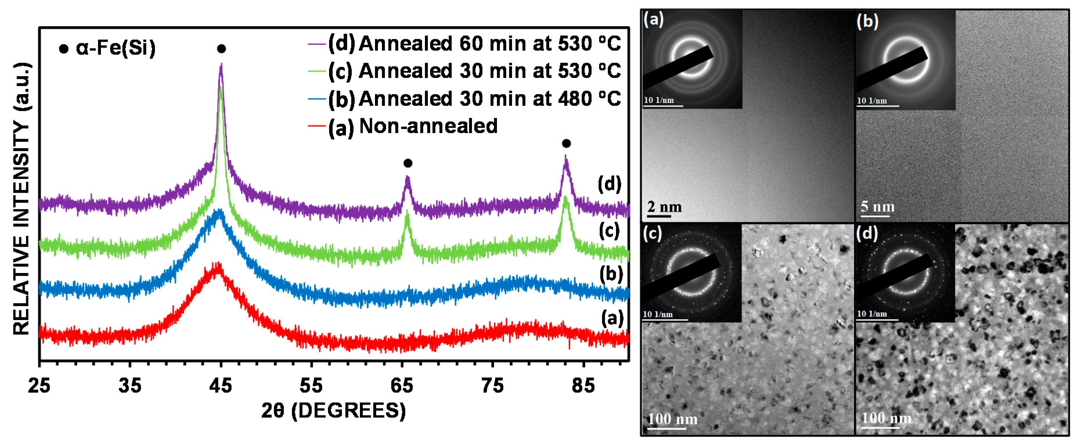 Nanomaterials 10 00884 g001