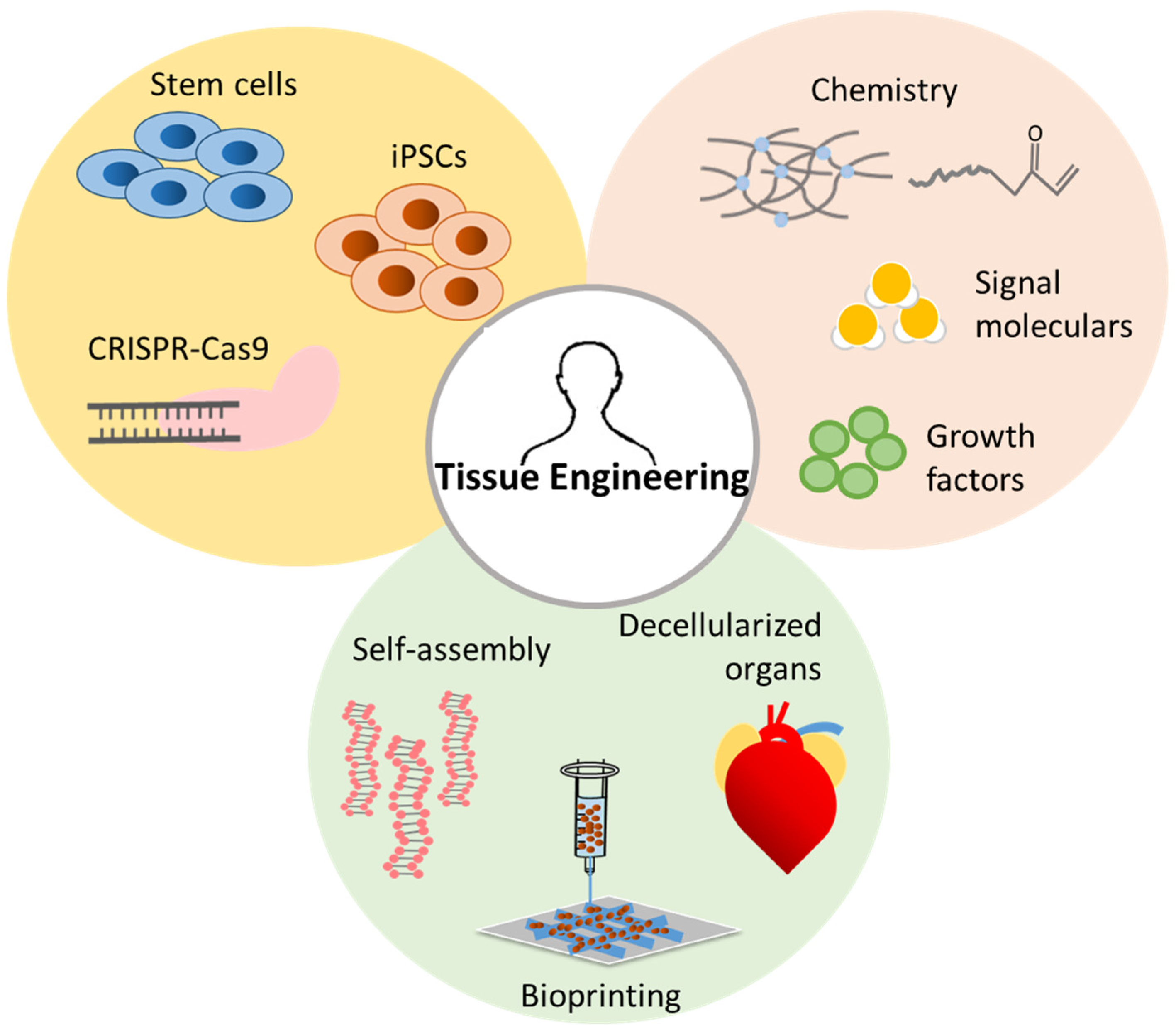 Nanomaterials | Free Full-Text | Strategies to Improve Nanofibrous ...