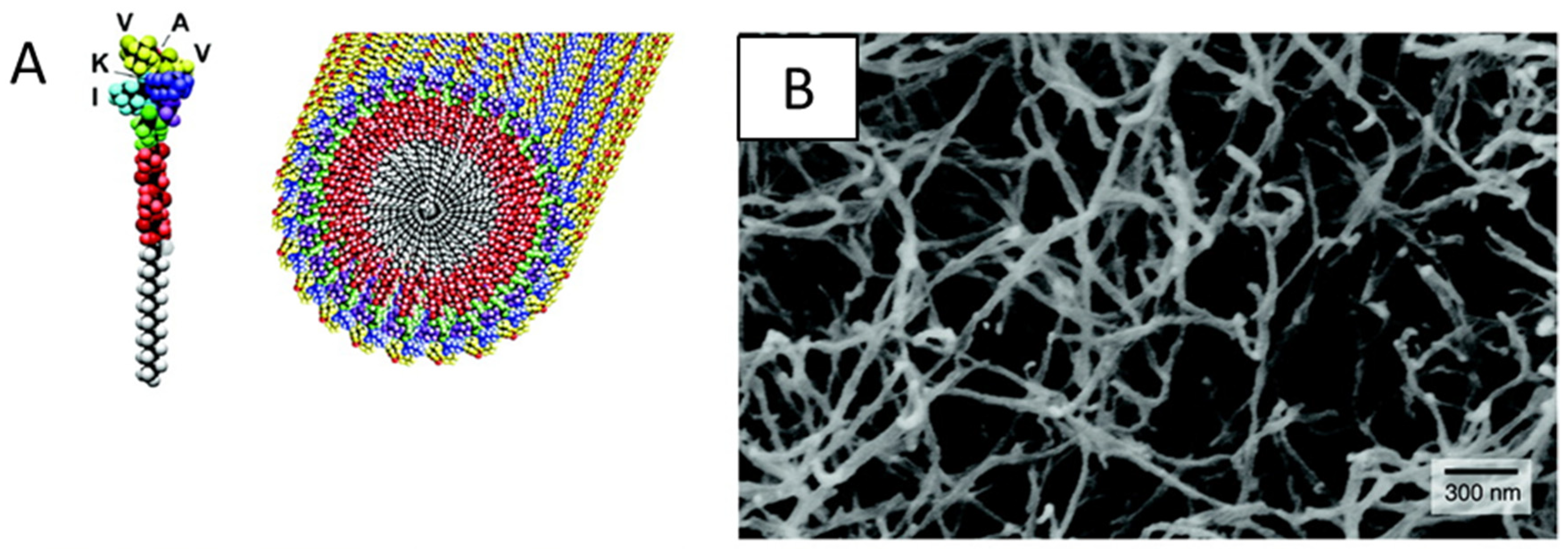 Nanomaterials 10 00887 g002 Nanomaterials 10 00887 g002