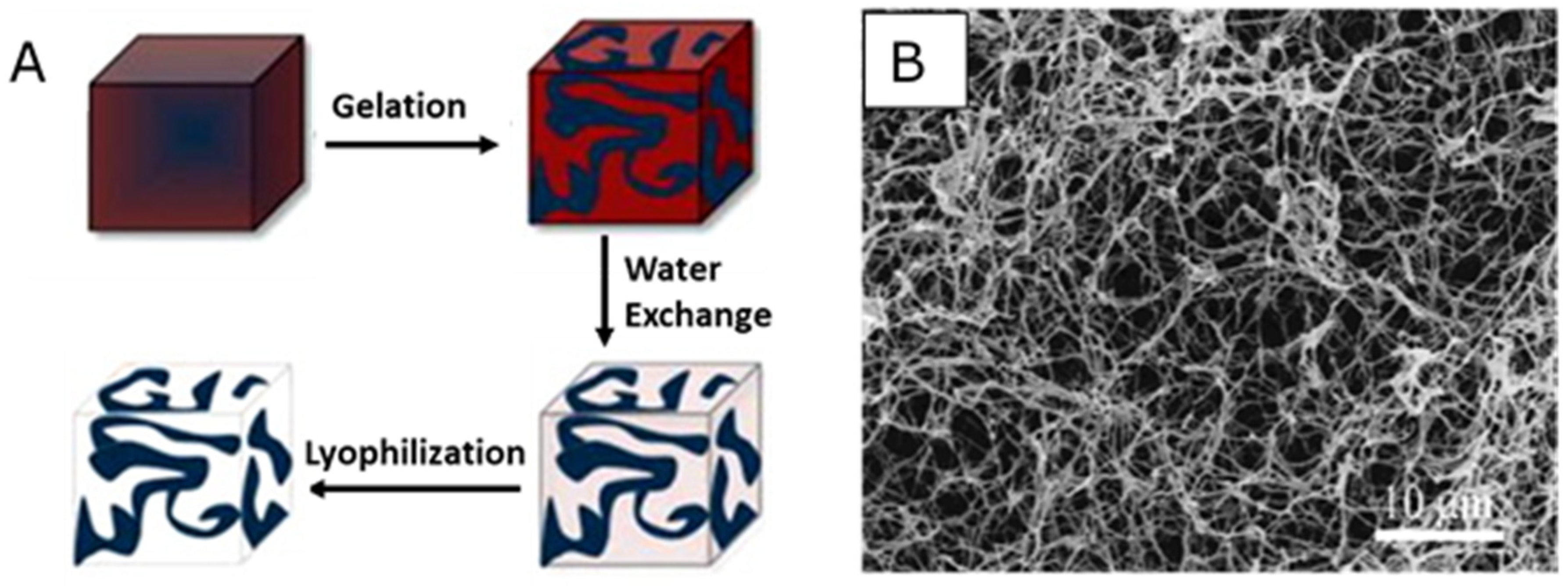 Nanomaterials 10 00887 g003 Nanomaterials 10 00887 g003
