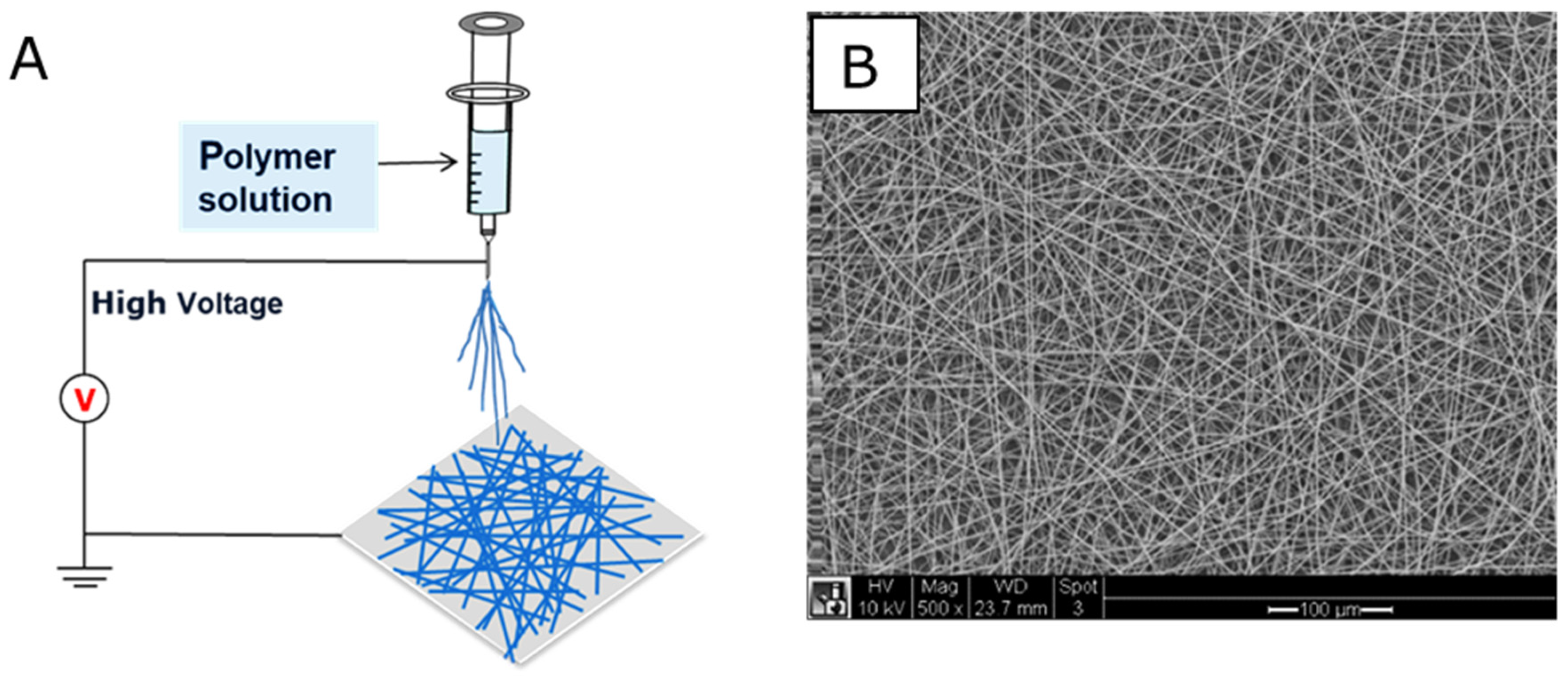Nanomaterials 10 00887 g004 Nanomaterials 10 00887 g004