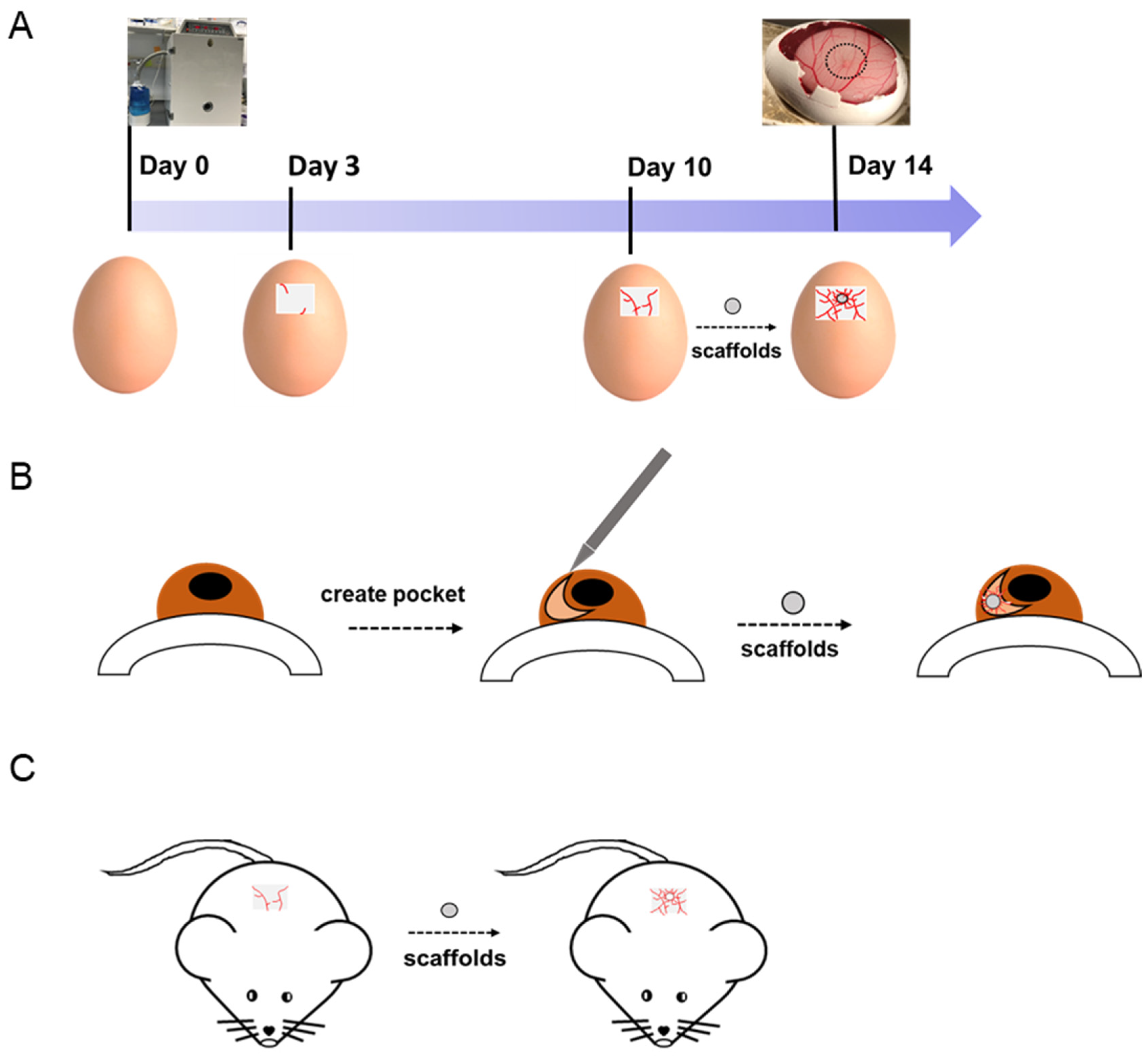 Nanomaterials 10 00887 g007 Nanomaterials 10 00887 g007