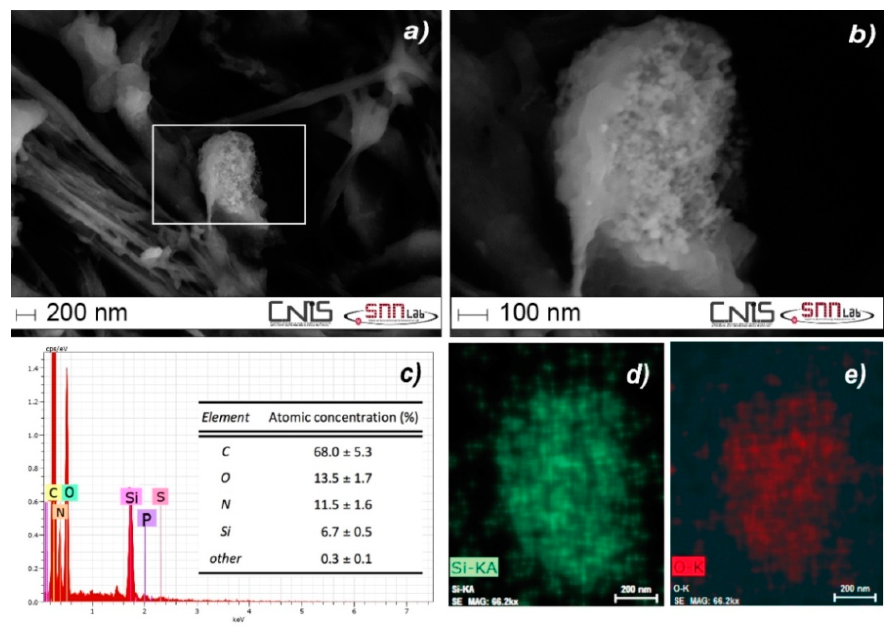 Nanomaterials 10 00888 g006