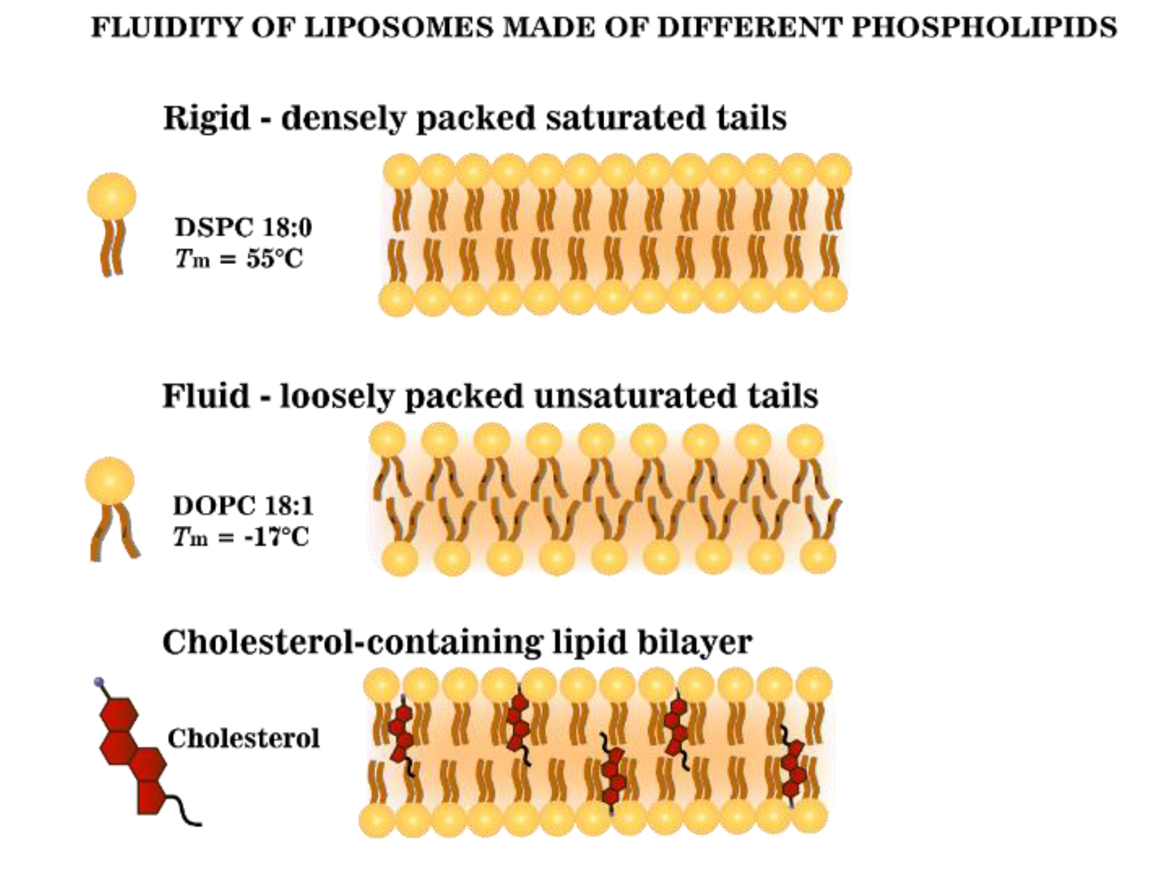 Nanomaterials 10 00889 sch001 Nanomaterials 10 00889 sch001