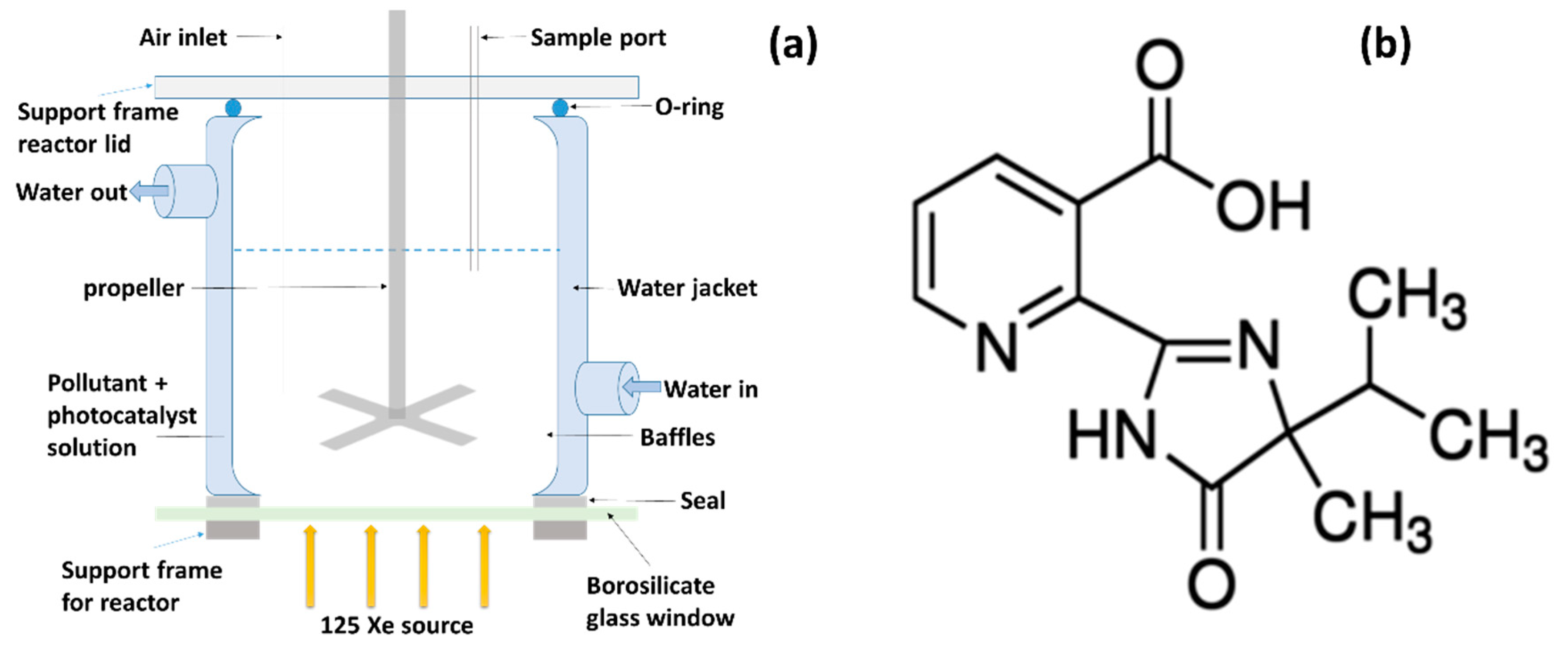 Nanomaterials 10 00896 g001