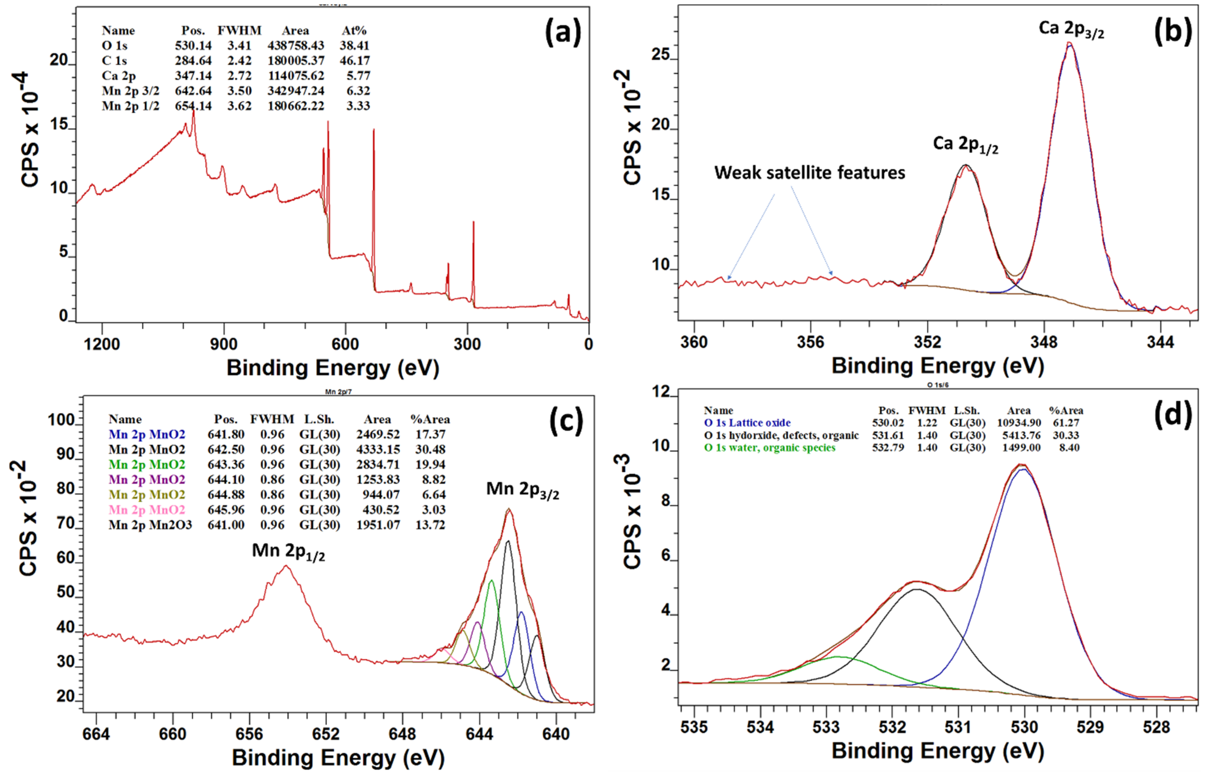 Nanomaterials 10 00896 g004