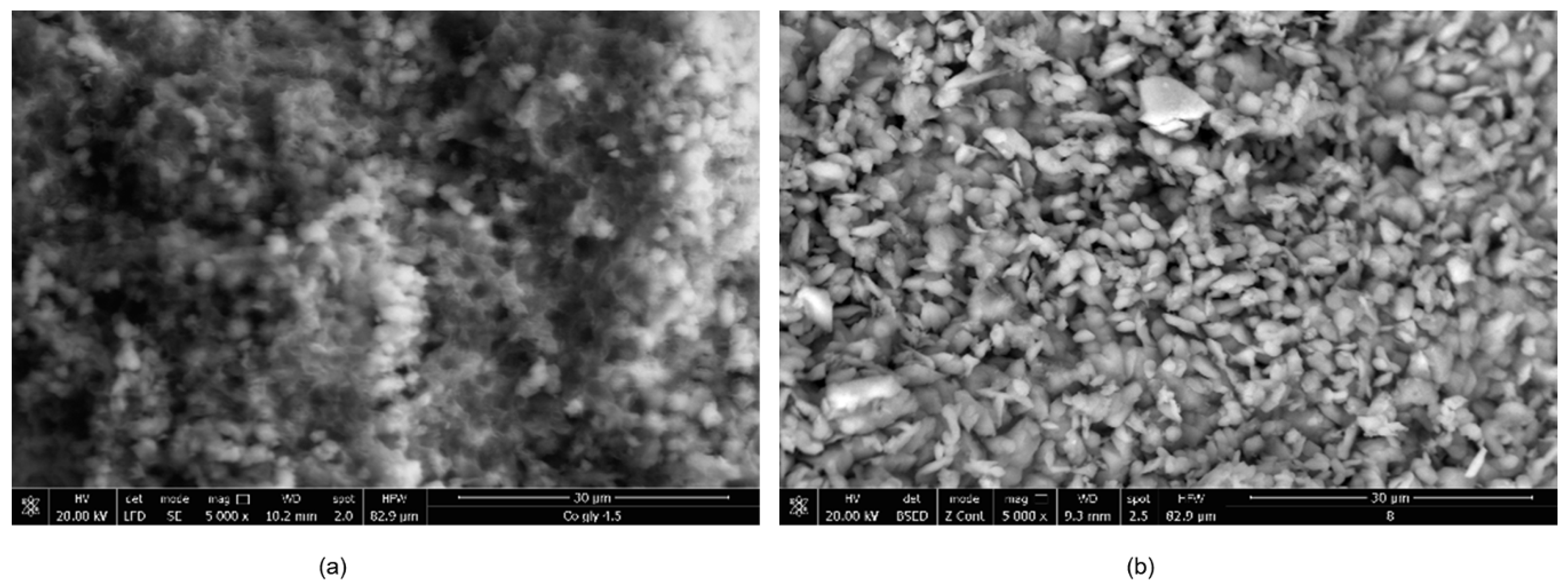 Nanomaterials 10 00899 g001