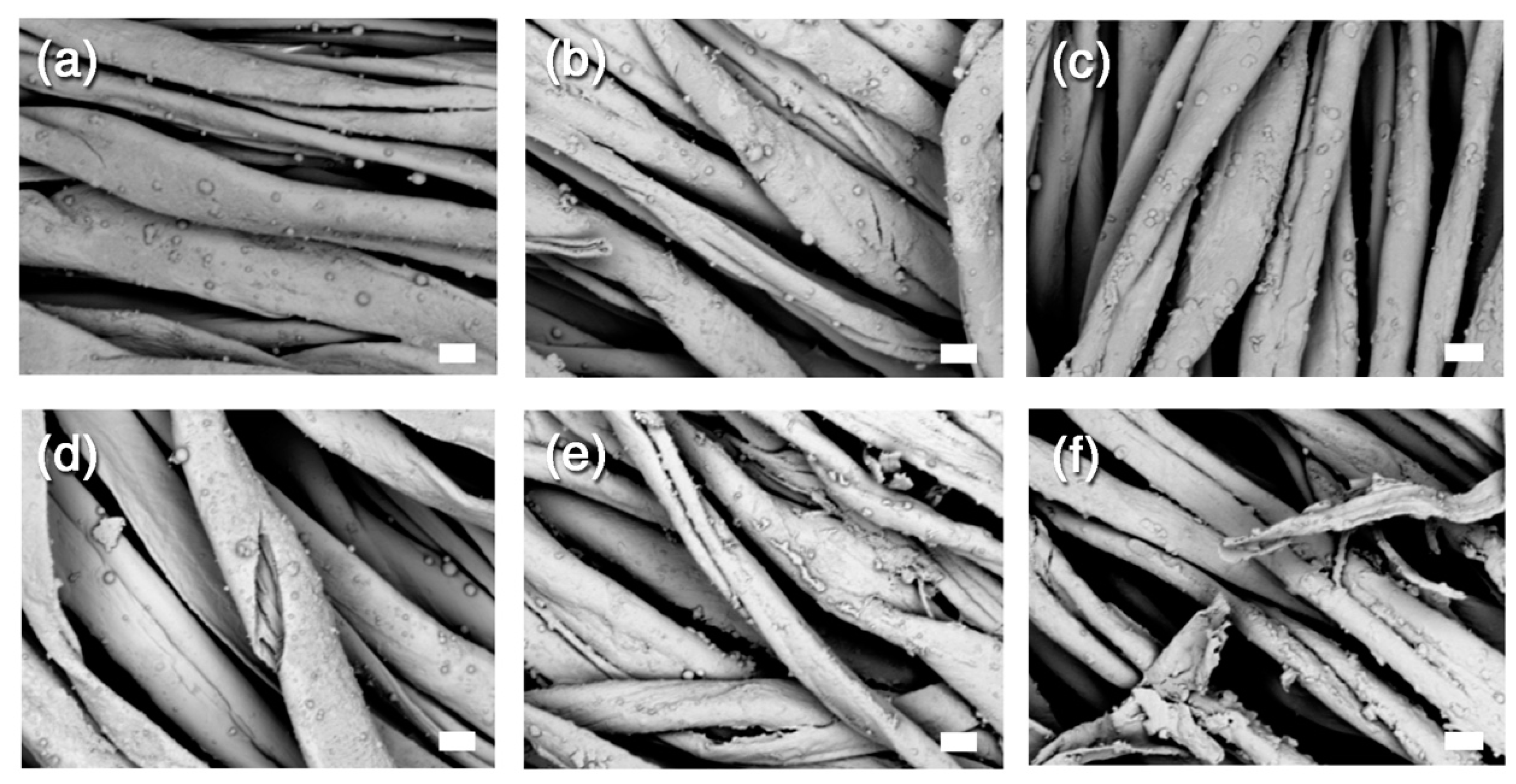 Nanomaterials 10 00900 g006 Nanomaterials 10 00900 g006
