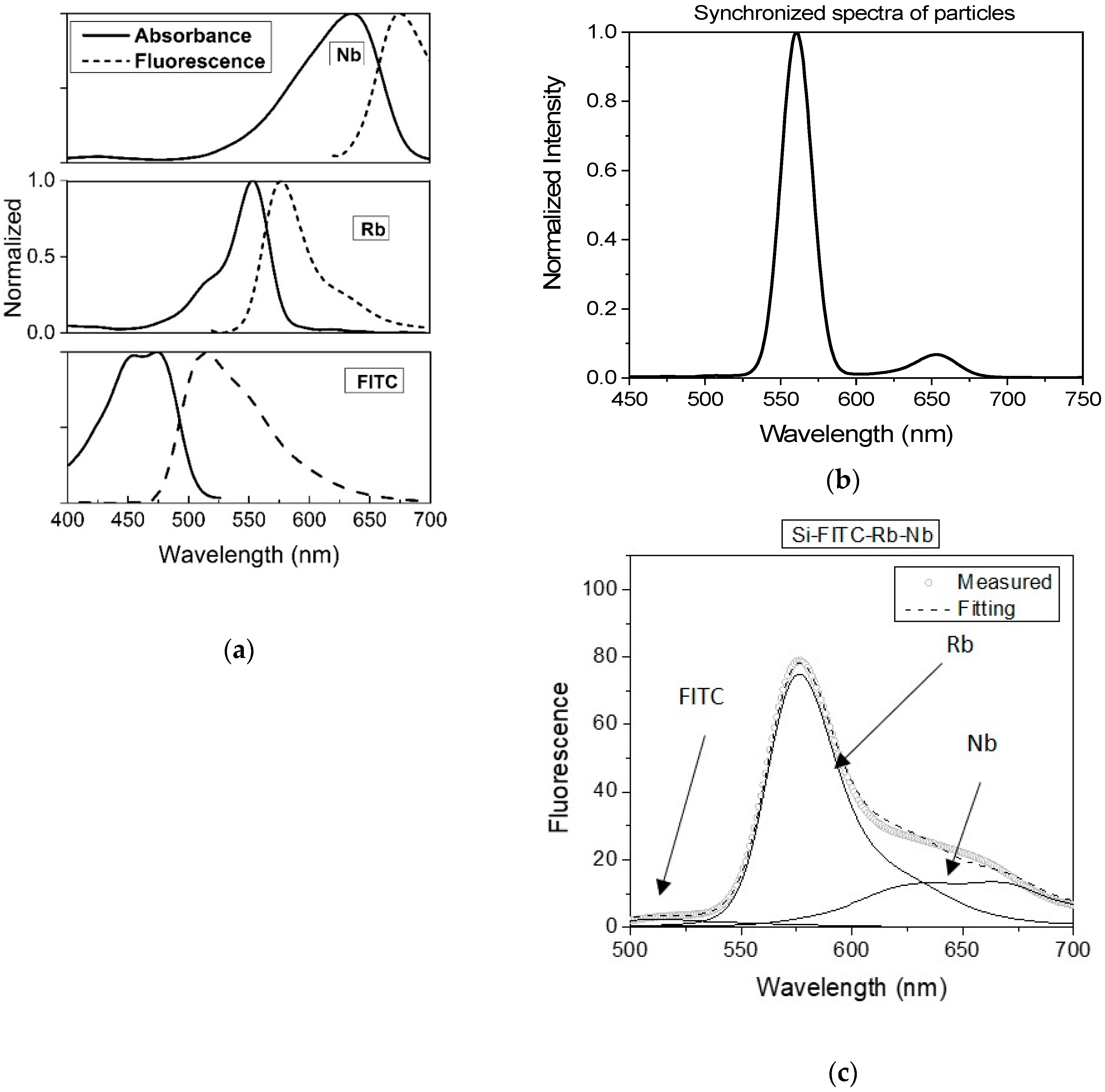 Nanomaterials 10 00905 g003