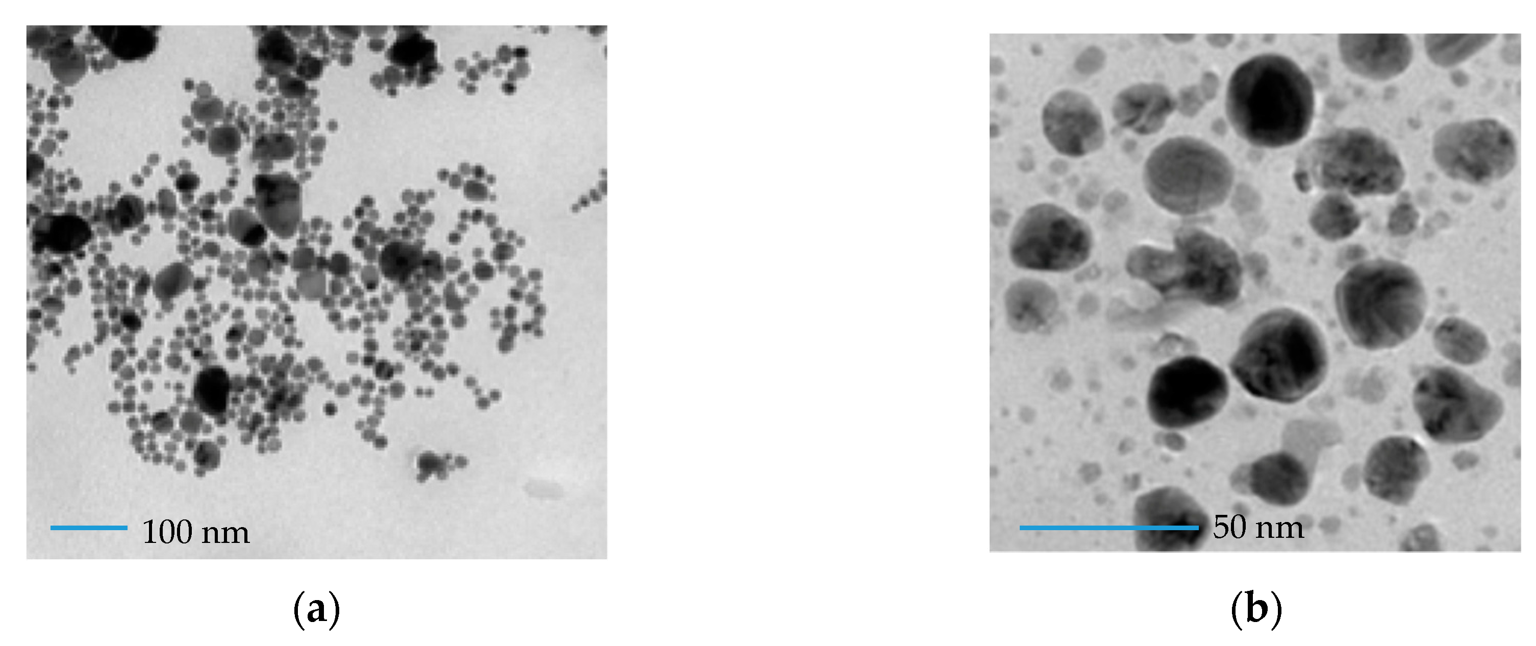 Nanomaterials 10 00909 g004a Nanomaterials 10 00909 g004a