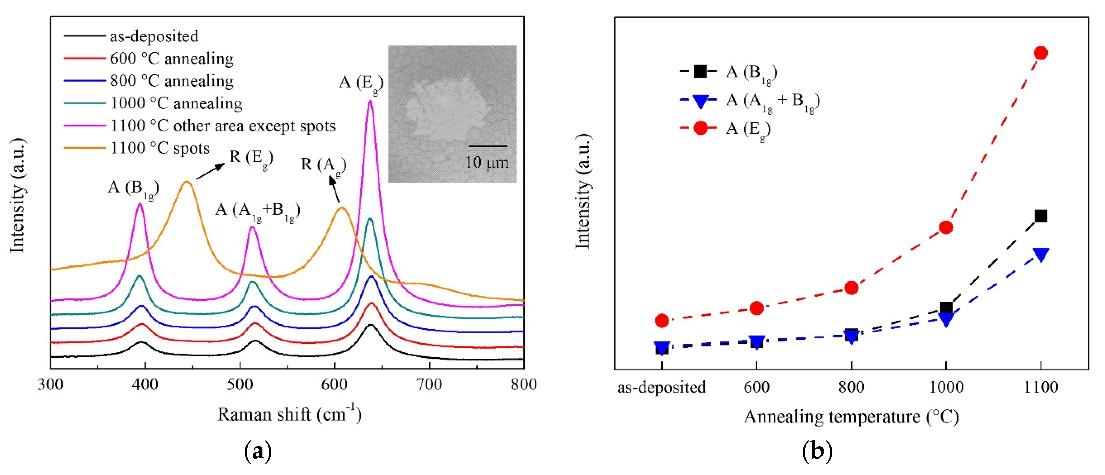 Nanomaterials Free Full Text High Temperature Stable Anatase Phase Titanium Dioxide Films Synthesized By Mist Chemical Vapor Deposition Html