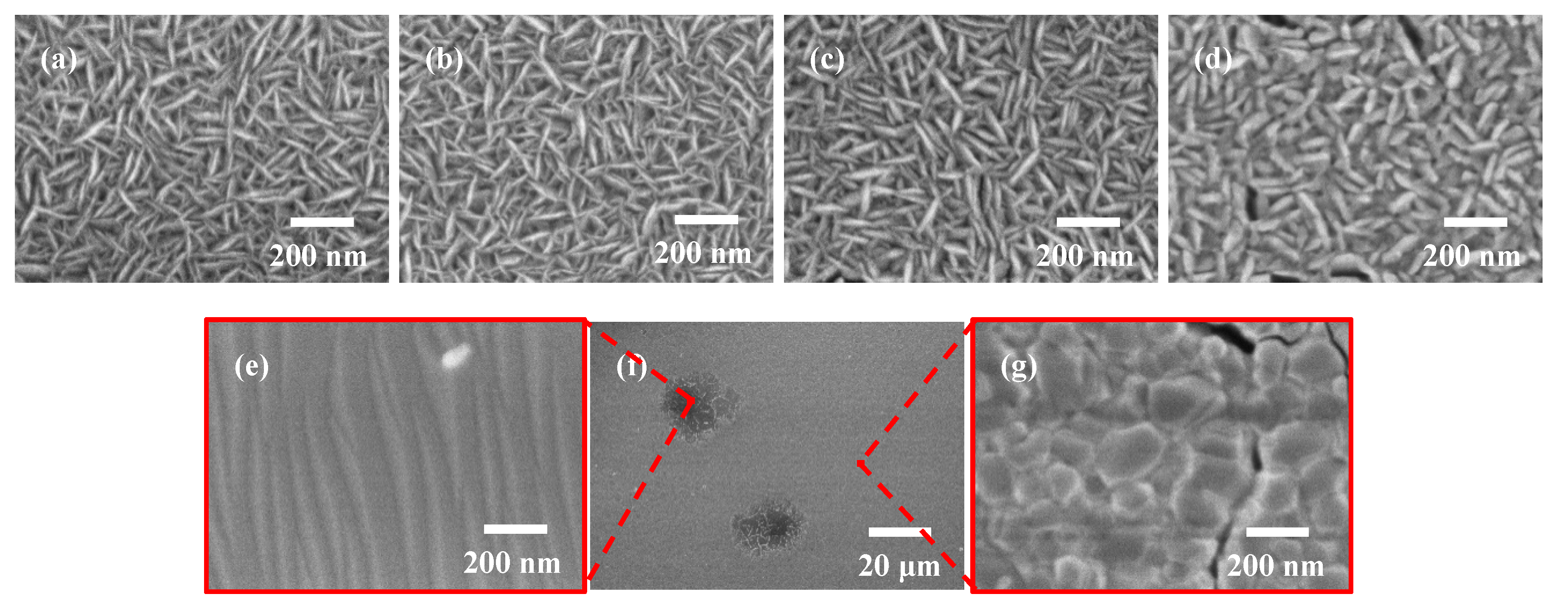 Nanomaterials 10 00911 g005