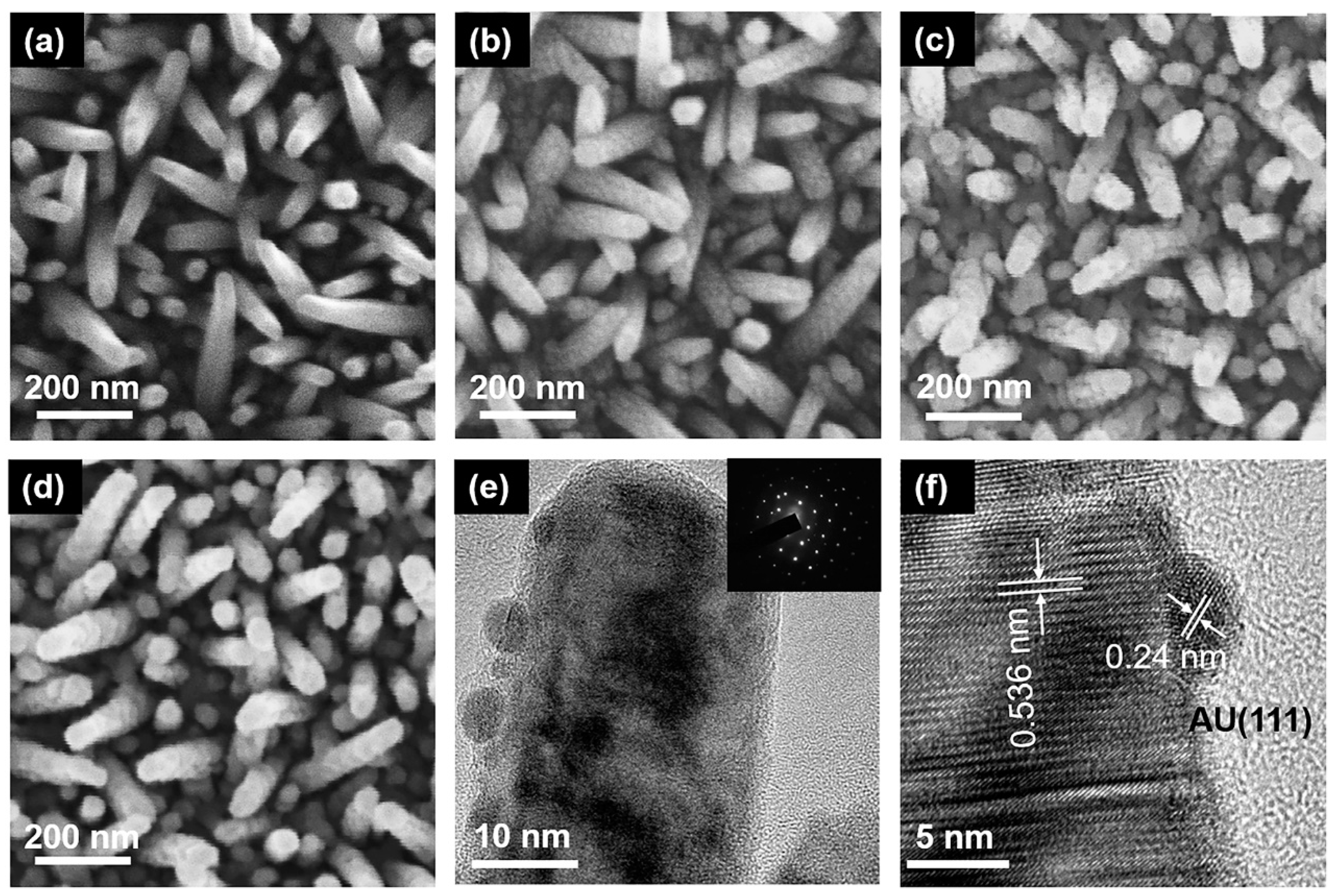 Nanomaterials 10 00912 g002