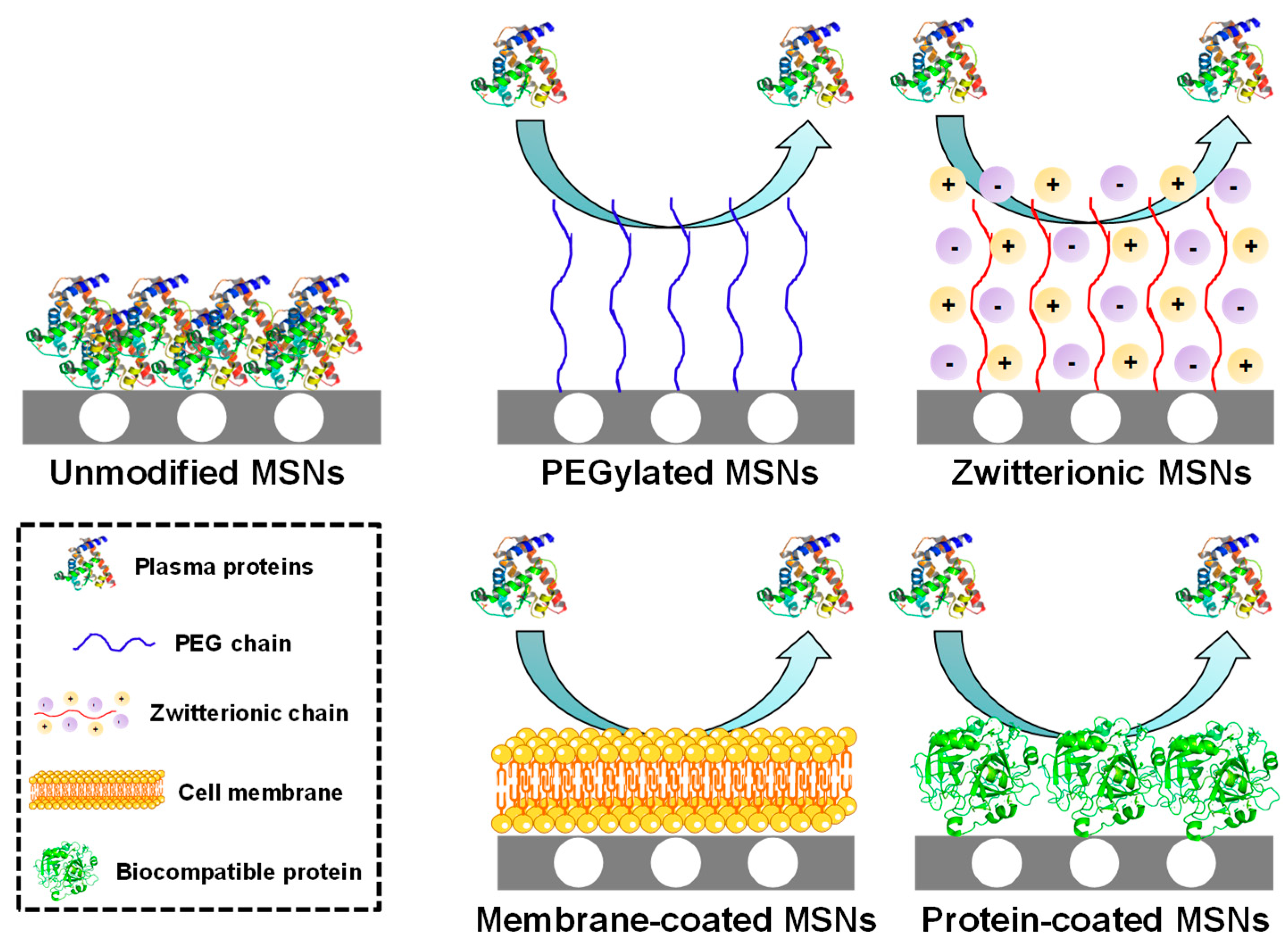 Nanomaterials 10 00916 g003 Nanomaterials 10 00916 g003